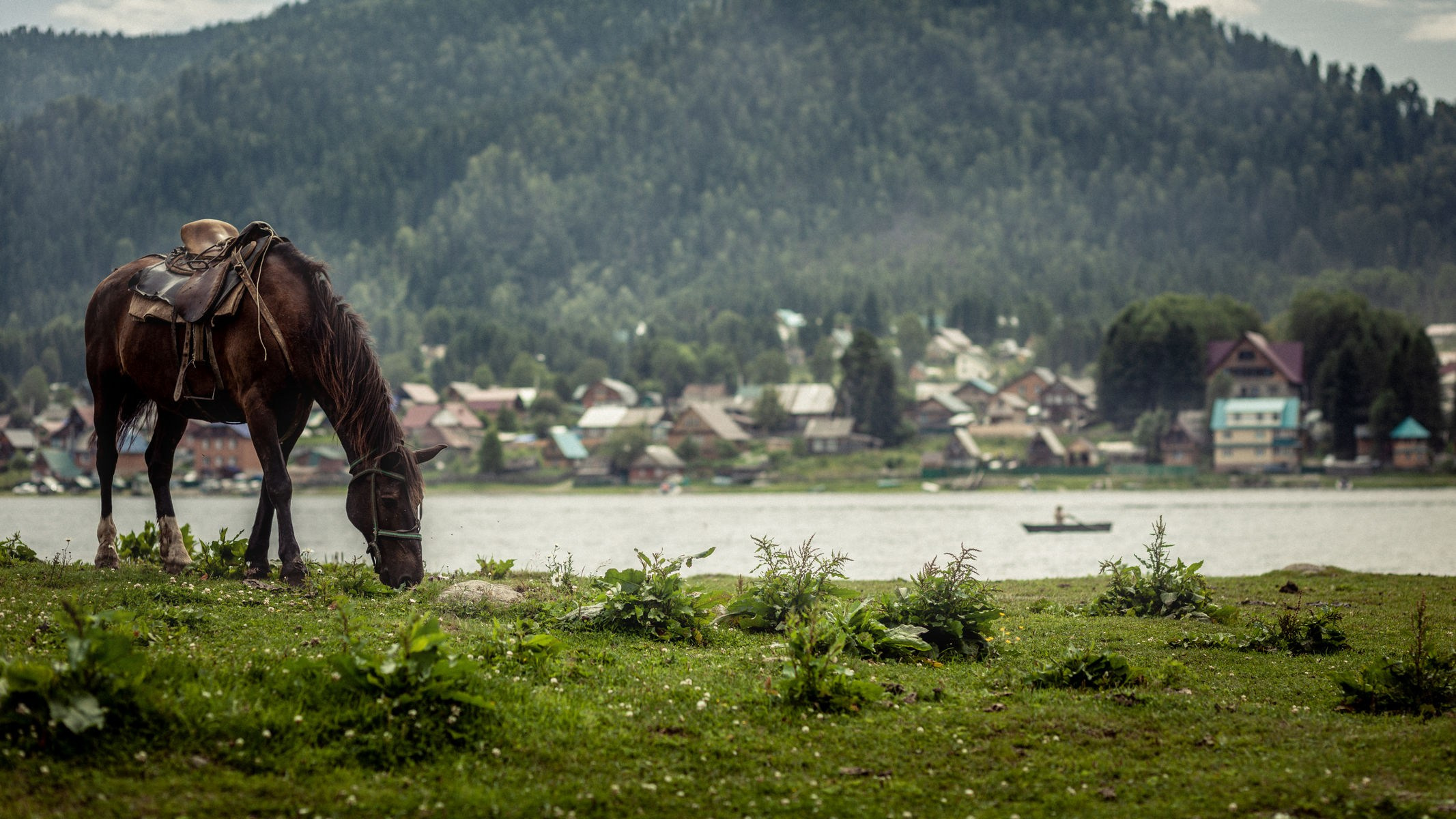 съёмка для контента на Алтае. фотограф портретов на Алтае. портретный фотограф на Алтае. фотограф для бизнеса на Алтае.