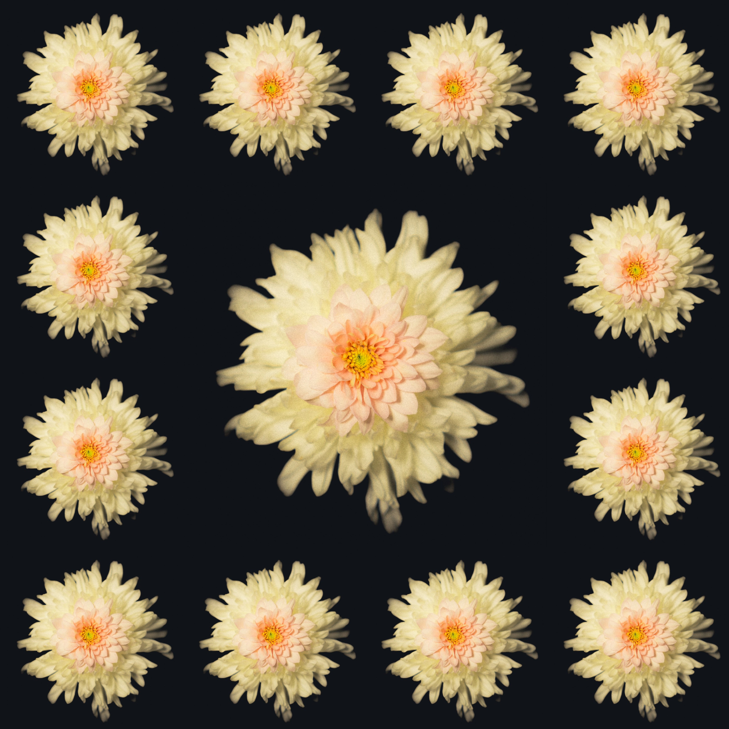 Единство (серия). Мистические фотосессии в Санкт-Петербурге от мистика Ильи Шенгелия