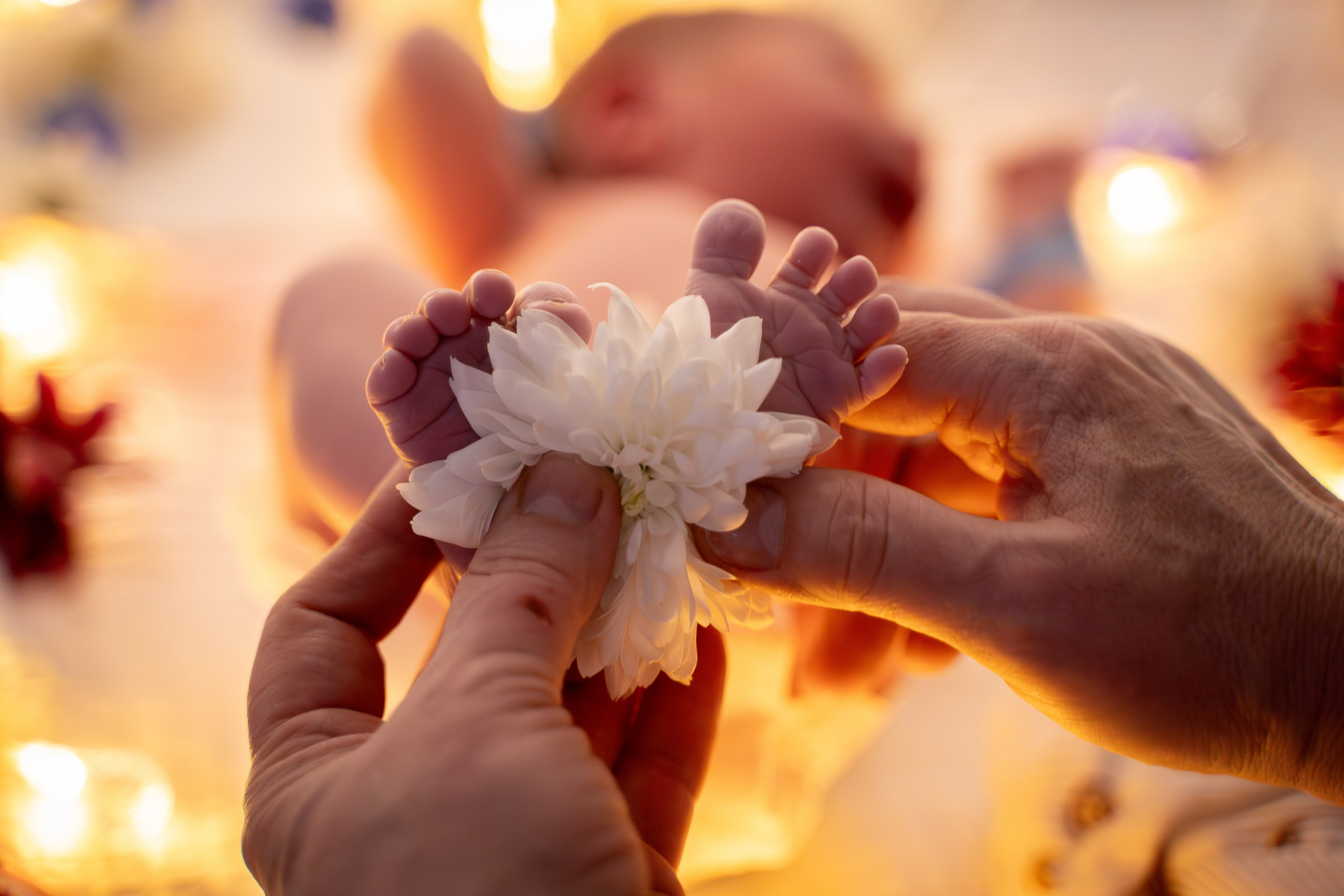 Фотограф на роды Москва Ольга Летучева