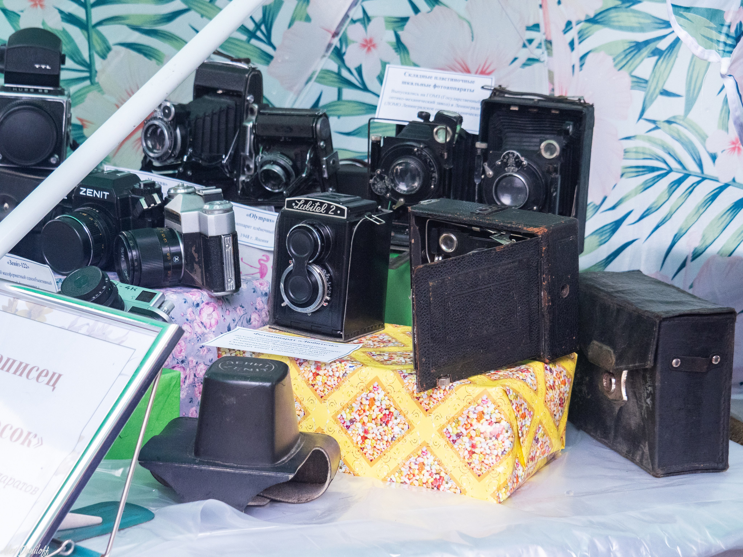 День города Муром 2025. Муром-Инфо. Новости культуры, образования, спорта в городе Муром