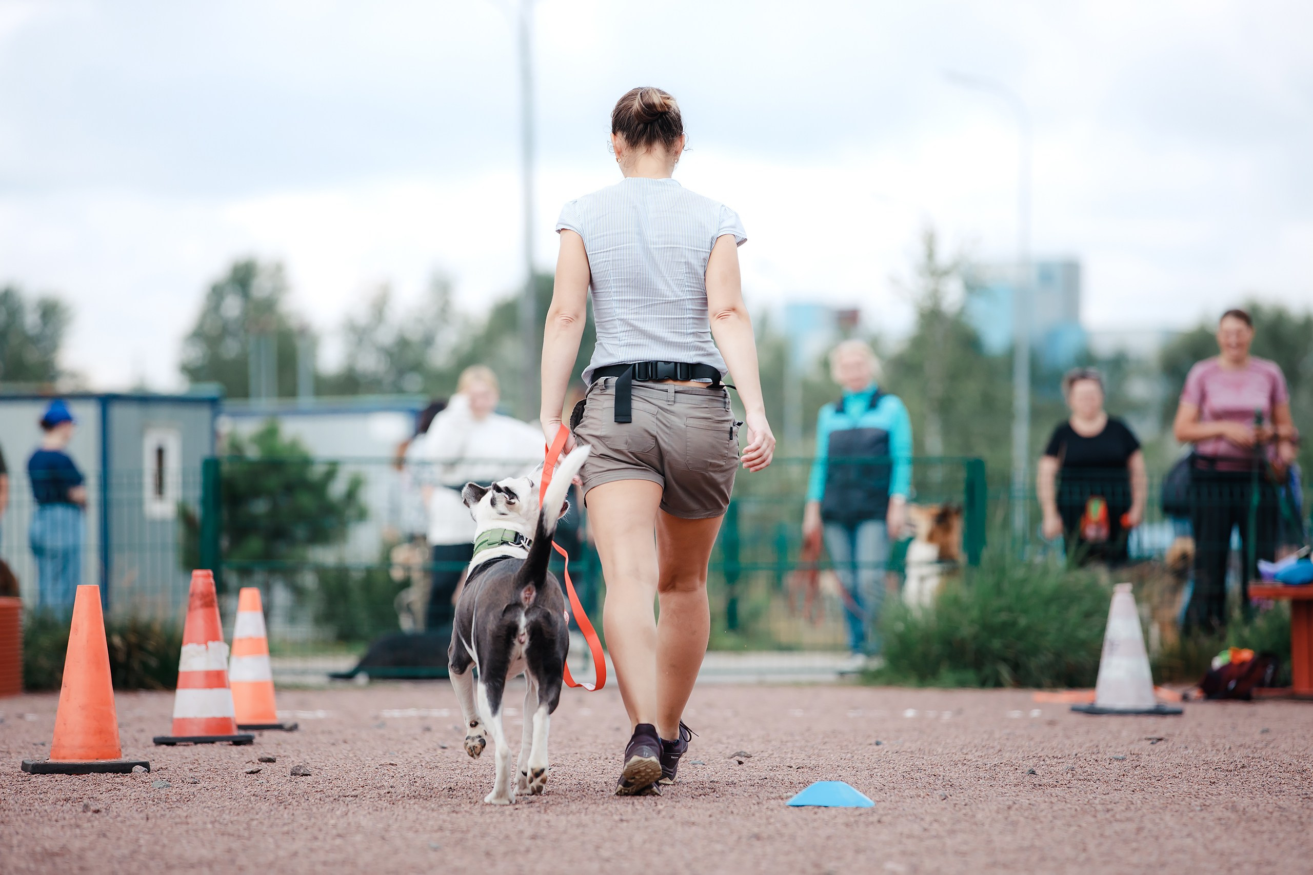 Питч&Гоу + веселые старты. Фотограф-анималист Mary Mart — Москва, Питер