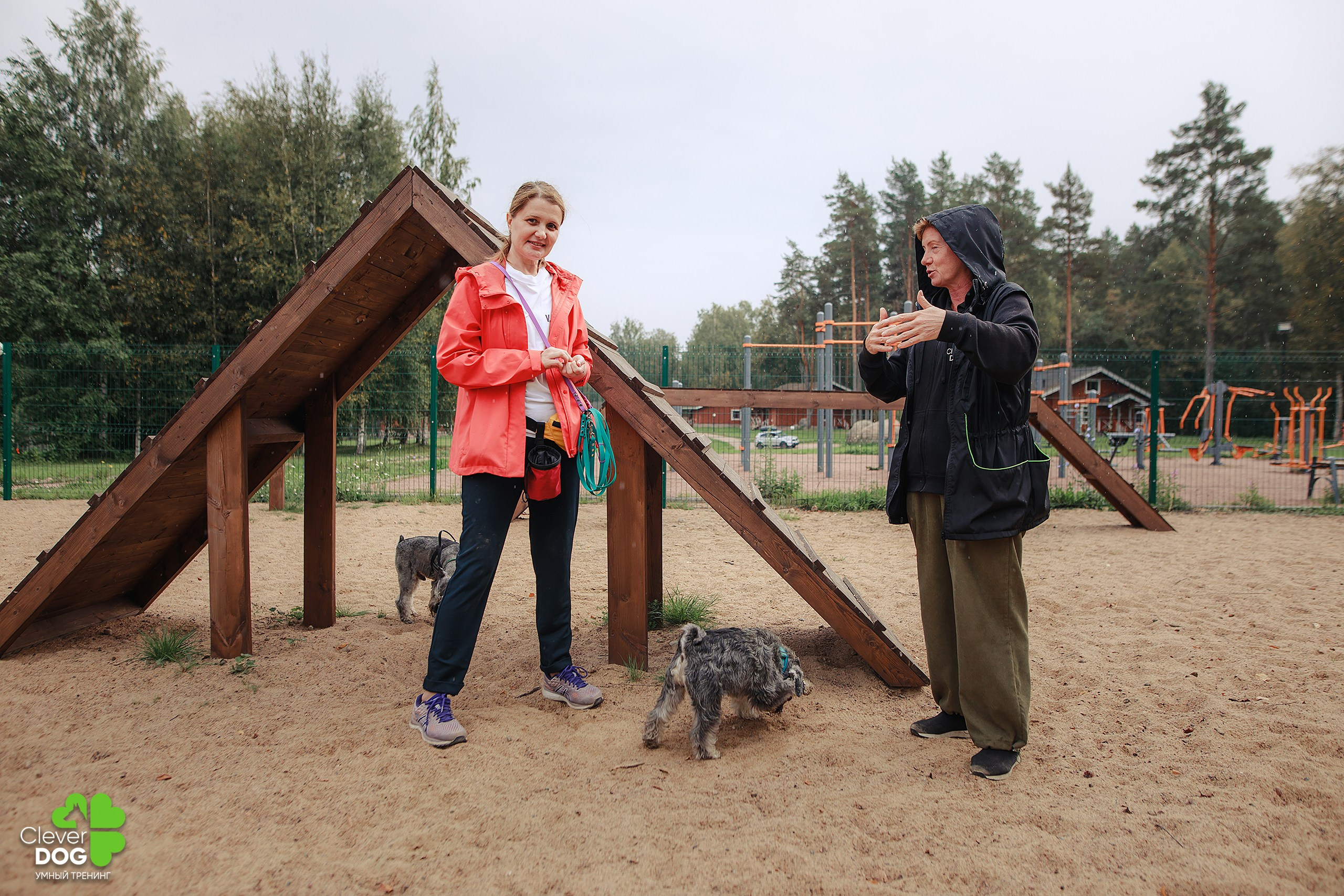 Кинологический лагерь CleverDog, 2024. Фотограф-анималист Mary Mart — Москва, Питер