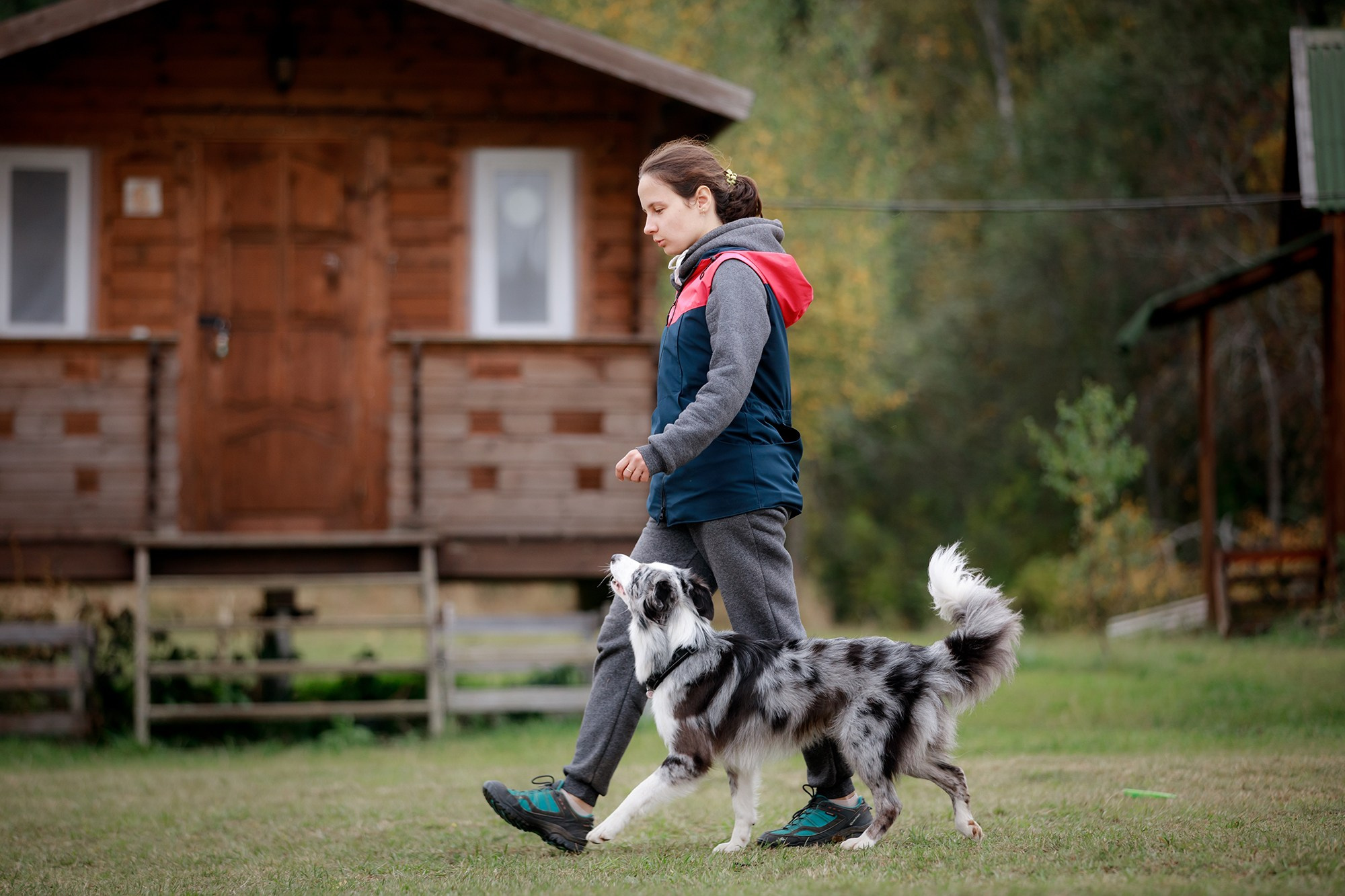 Лагерь по ОБД с Инной Баженовой. Фотограф-анималист Mary Mart — Москва, Питер