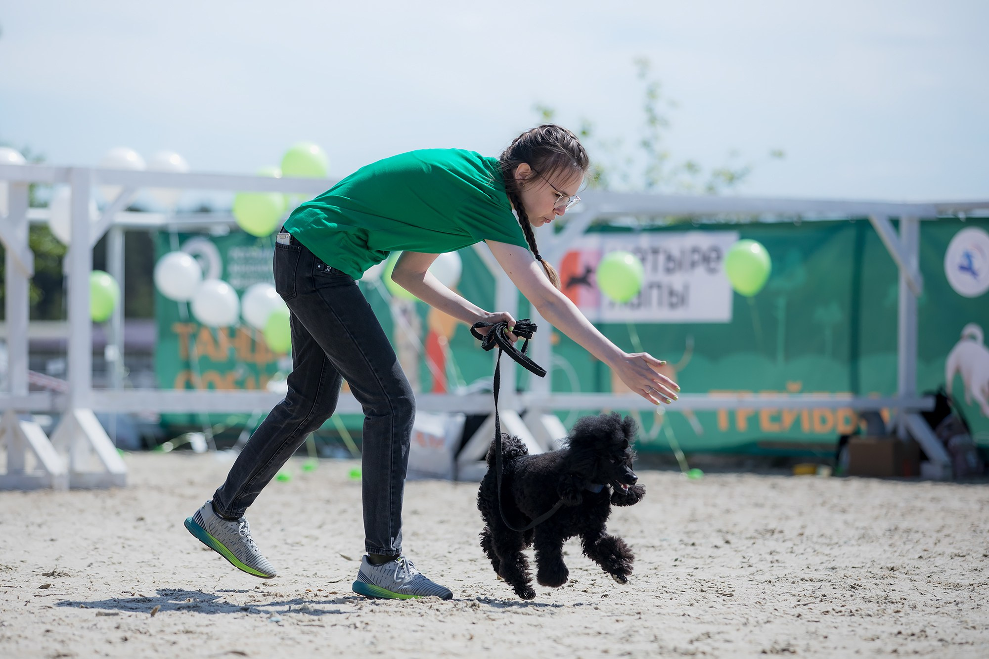 Показательные выступления по NoseWork на выставке «Россия». Фотограф-анималист Mary Mart — Москва, Питер
