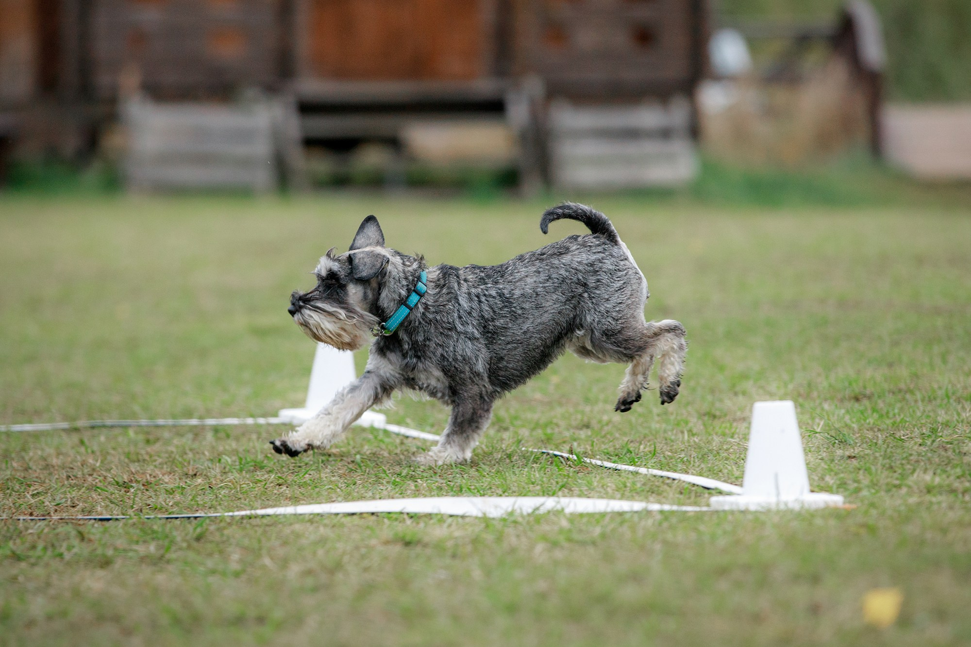Лагерь по ОБД с Инной Баженовой. Фотограф-анималист Mary Mart — Москва, Питер