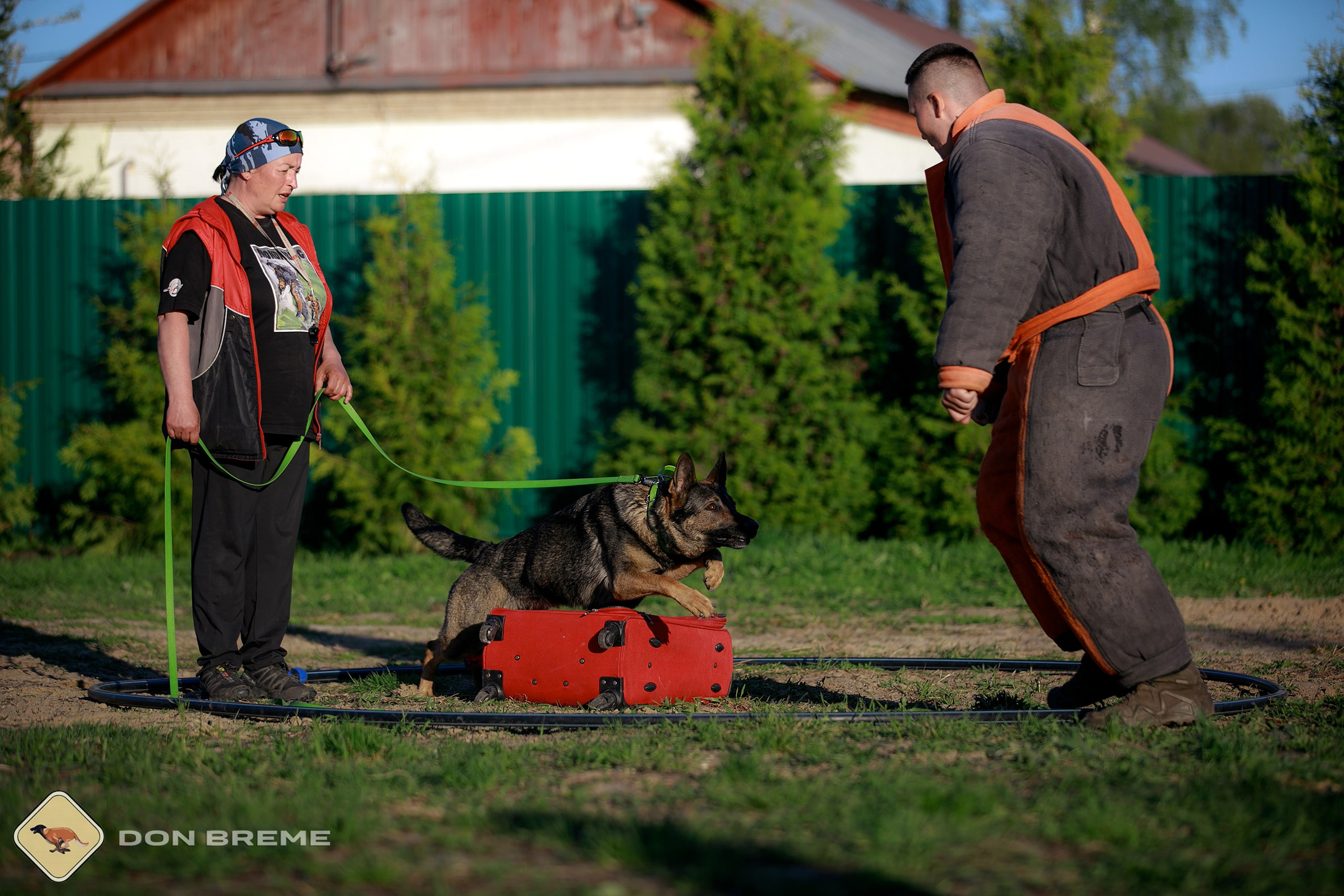 Семинар для фигурантов, день 3. Фотограф-анималист Mary Mart — Москва, Питер
