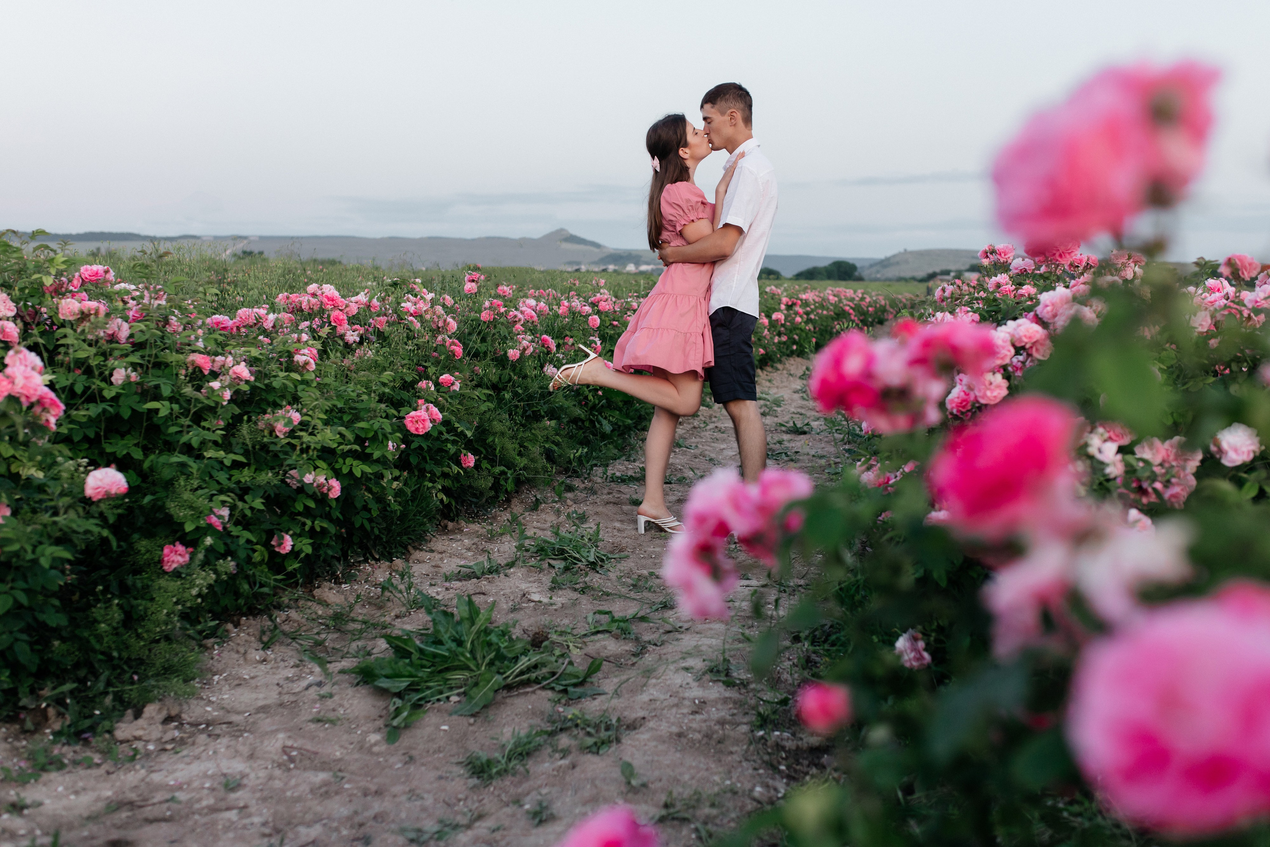 Rose. ФОТОГРАФ