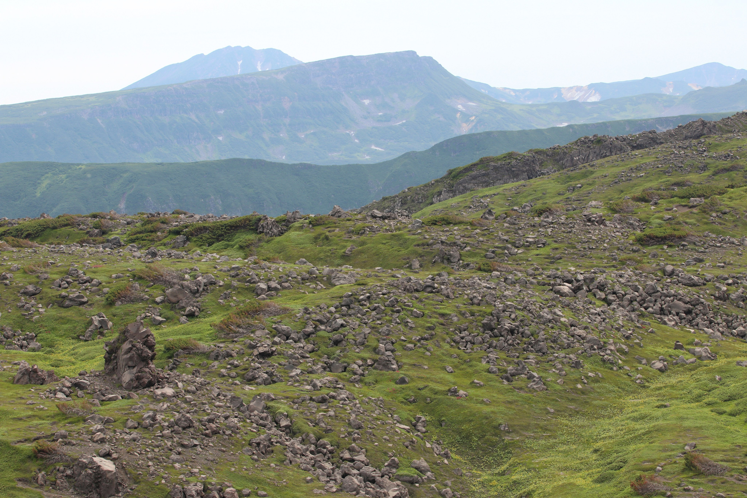Камчатка и о. Парамушир. Июль 2024. Путешественник-фотограф из Санкт-Петербурга Татьяна Свистулина