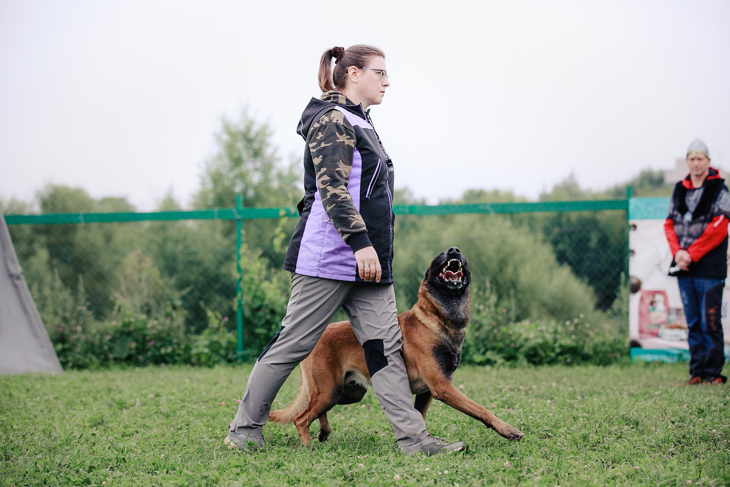 Мондьоринг М1, М2, М3, Вологда. Фотограф-анималист Mary Mart — Москва, Питер