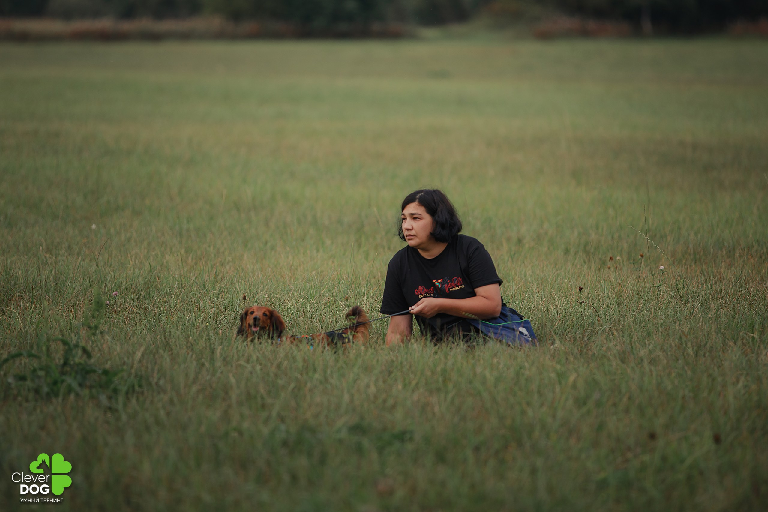 Кинологический лагерь CleverDog, 2024. Фотограф-анималист Mary Mart — Москва, Питер