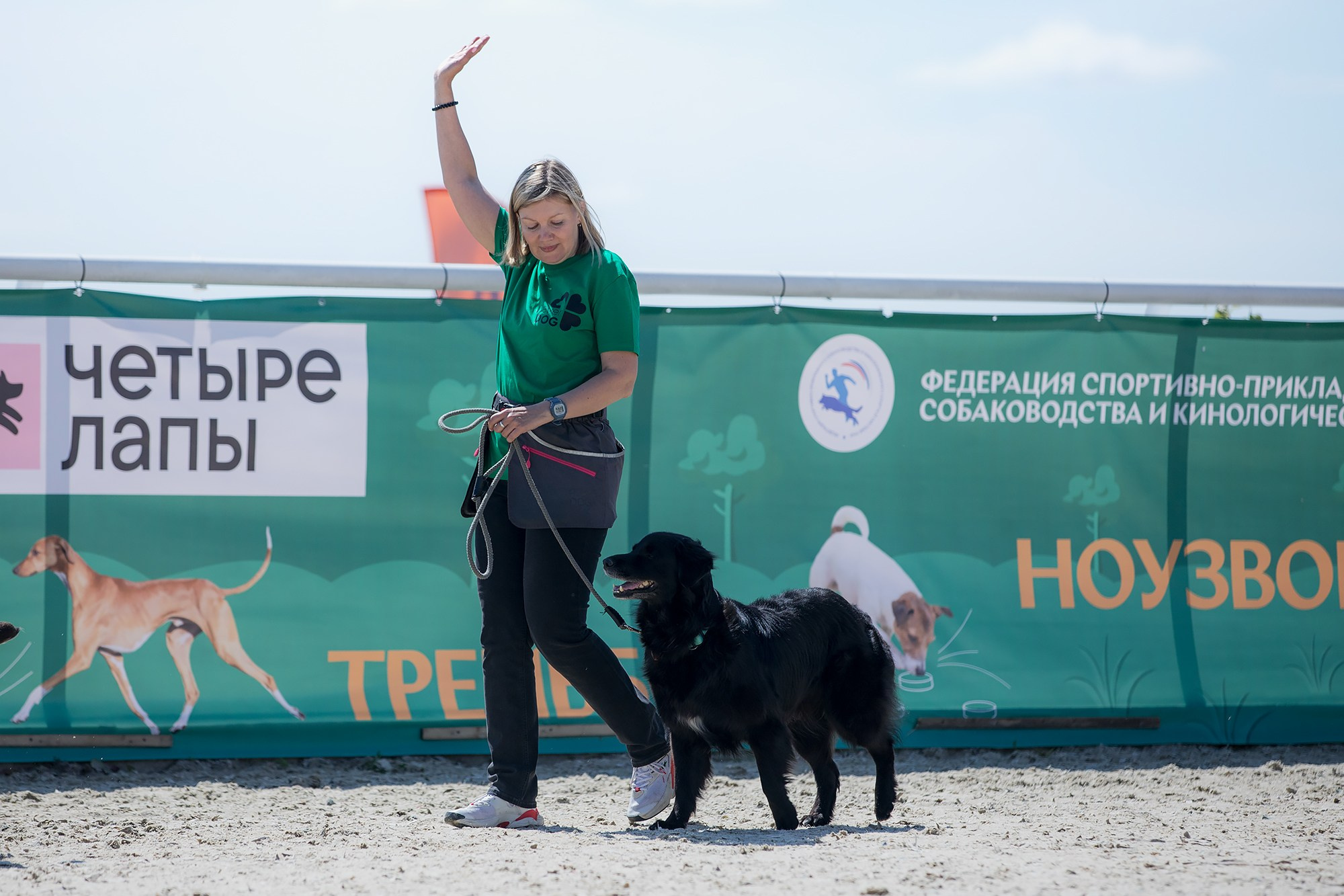 Показательные выступления по NoseWork на выставке «Россия». Фотограф-анималист Mary Mart — Москва, Питер