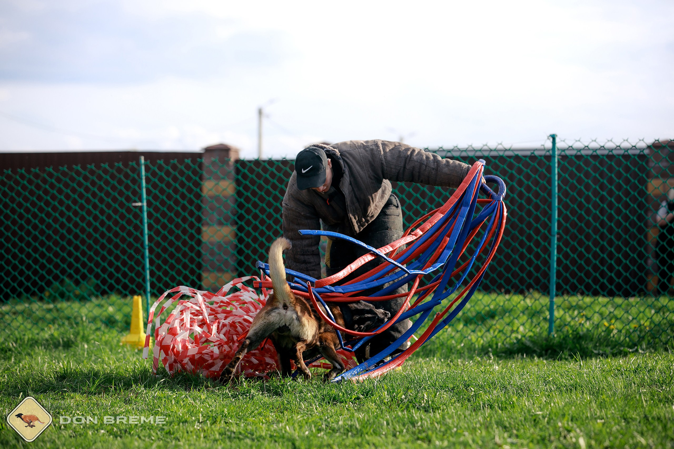 Семинар для фигурантов, день 2. Фотограф-анималист Mary Mart — Москва, Питер