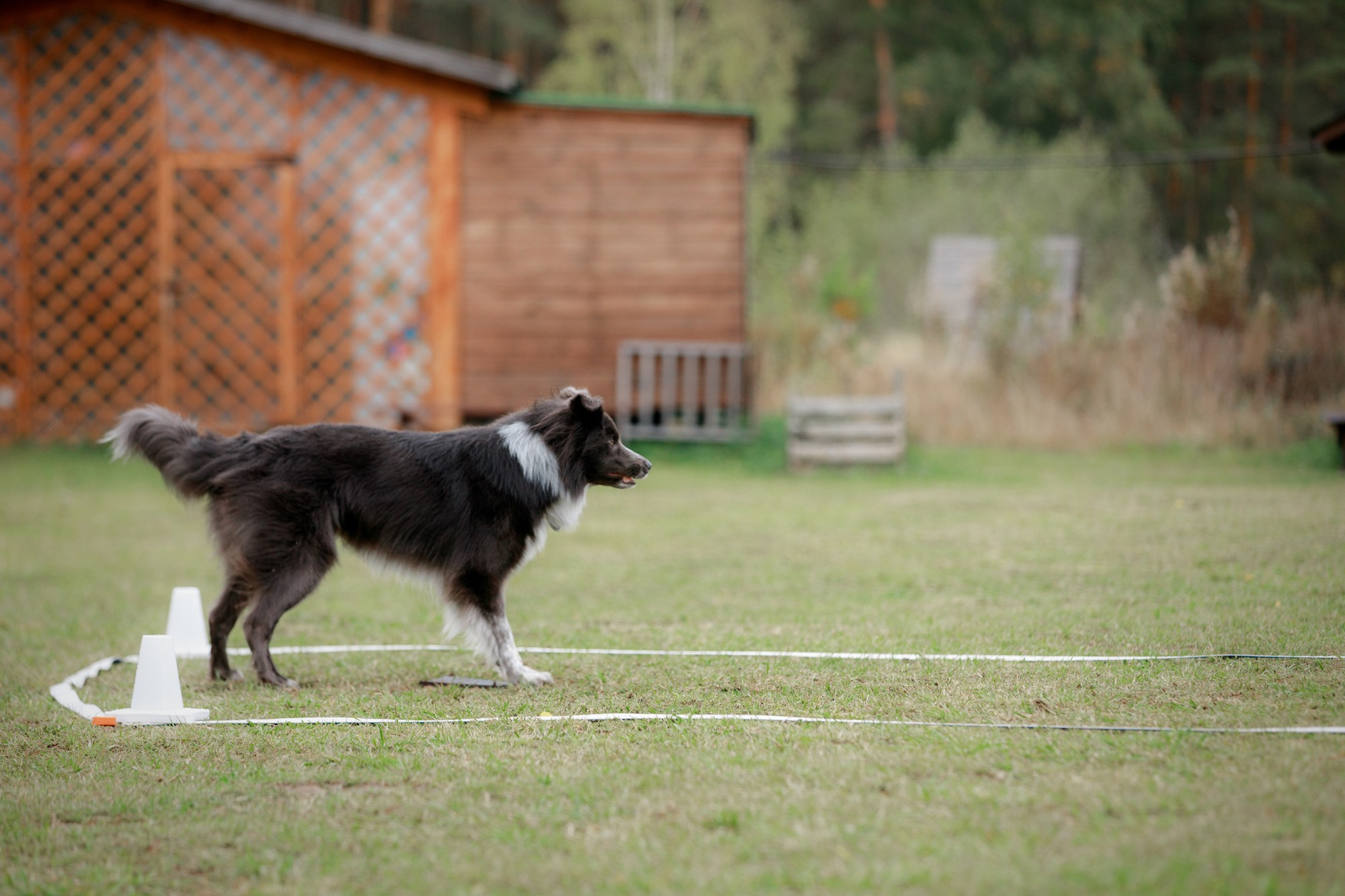 Лагерь по ОБД с Инной Баженовой. Фотограф-анималист Mary Mart — Москва, Питер