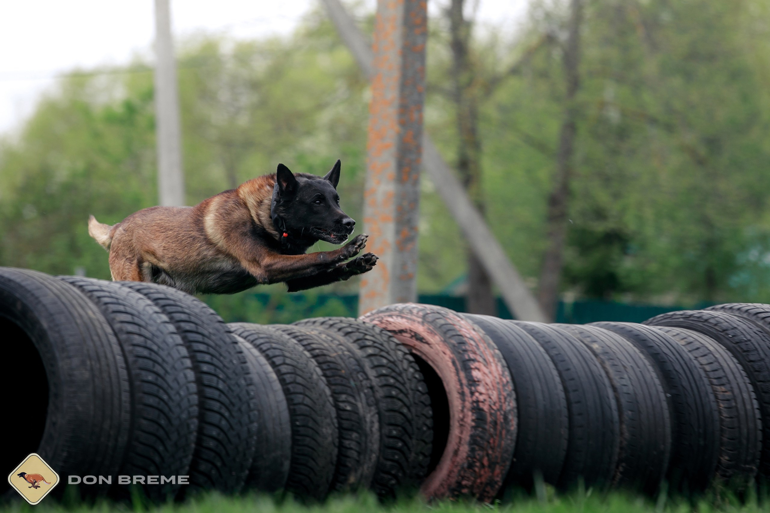 Семинар для фигурантов, день 2. Фотограф-анималист Mary Mart — Москва, Питер