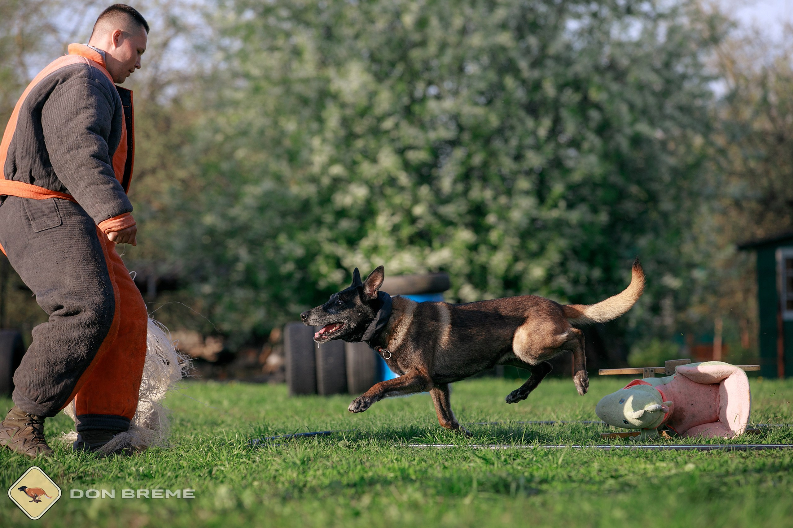 Семинар для фигурантов, день 4. Фотограф-анималист Mary Mart — Москва, Питер
