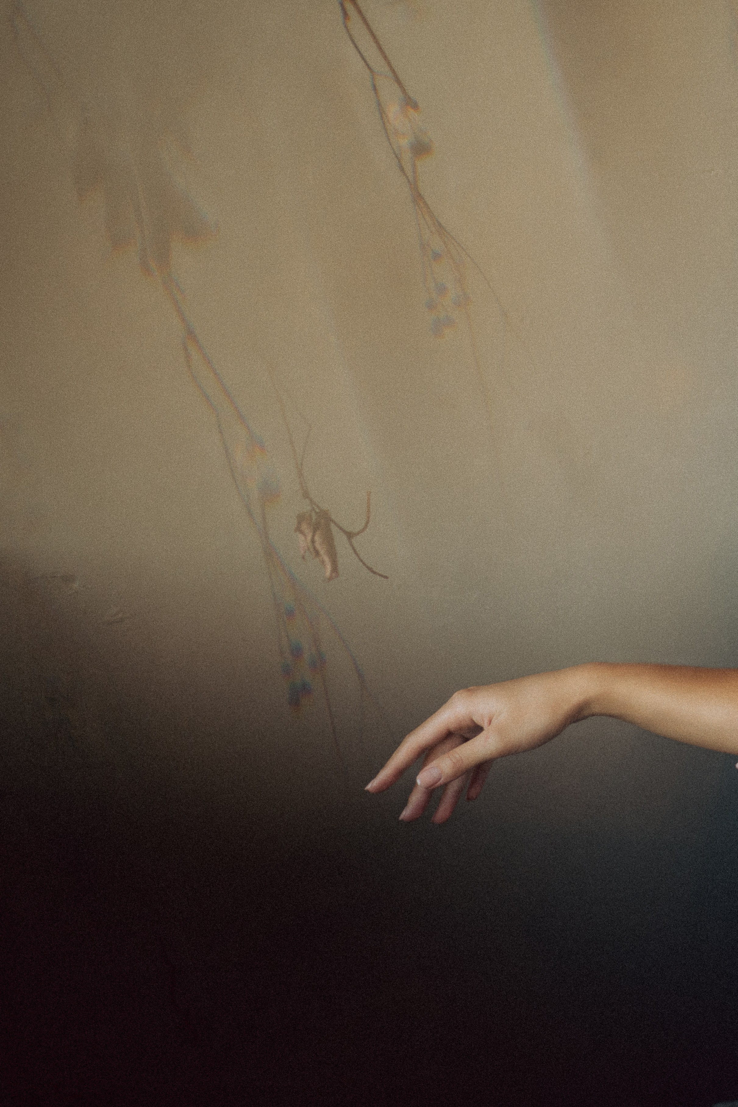 Вера. Свадебный и портретный фотограф Анастасия Тетёркина, Брянск и Санкт-Петербург