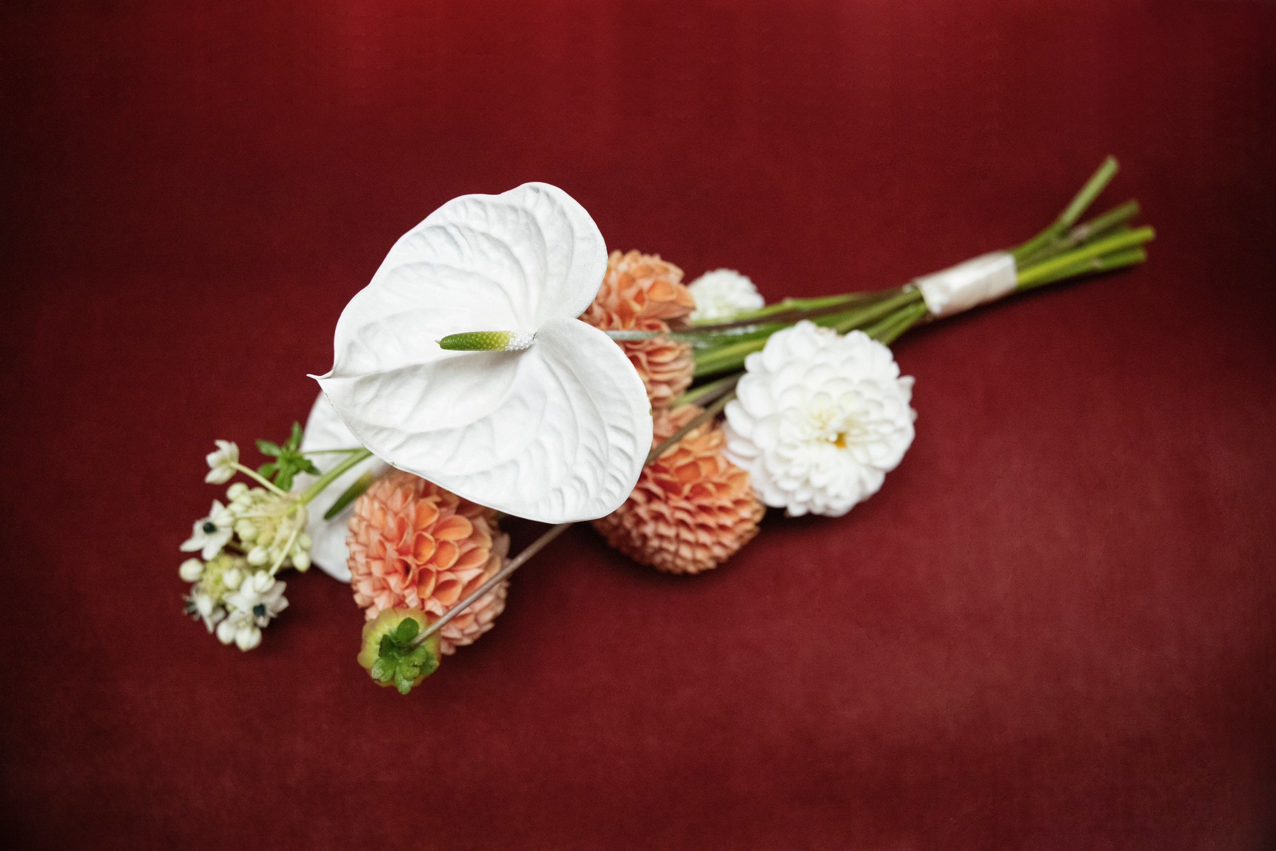 Карина и Илья. Свадебный и портретный фотограф