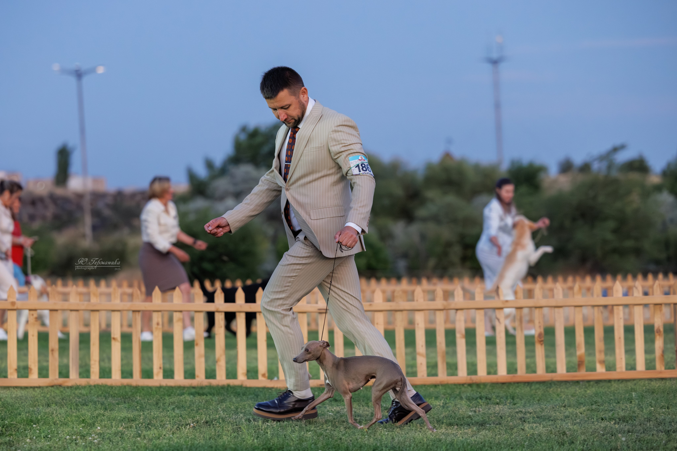 Ереван 3хCACIB 23-25.06.2025. Фотограф-анималист Юлия Германика