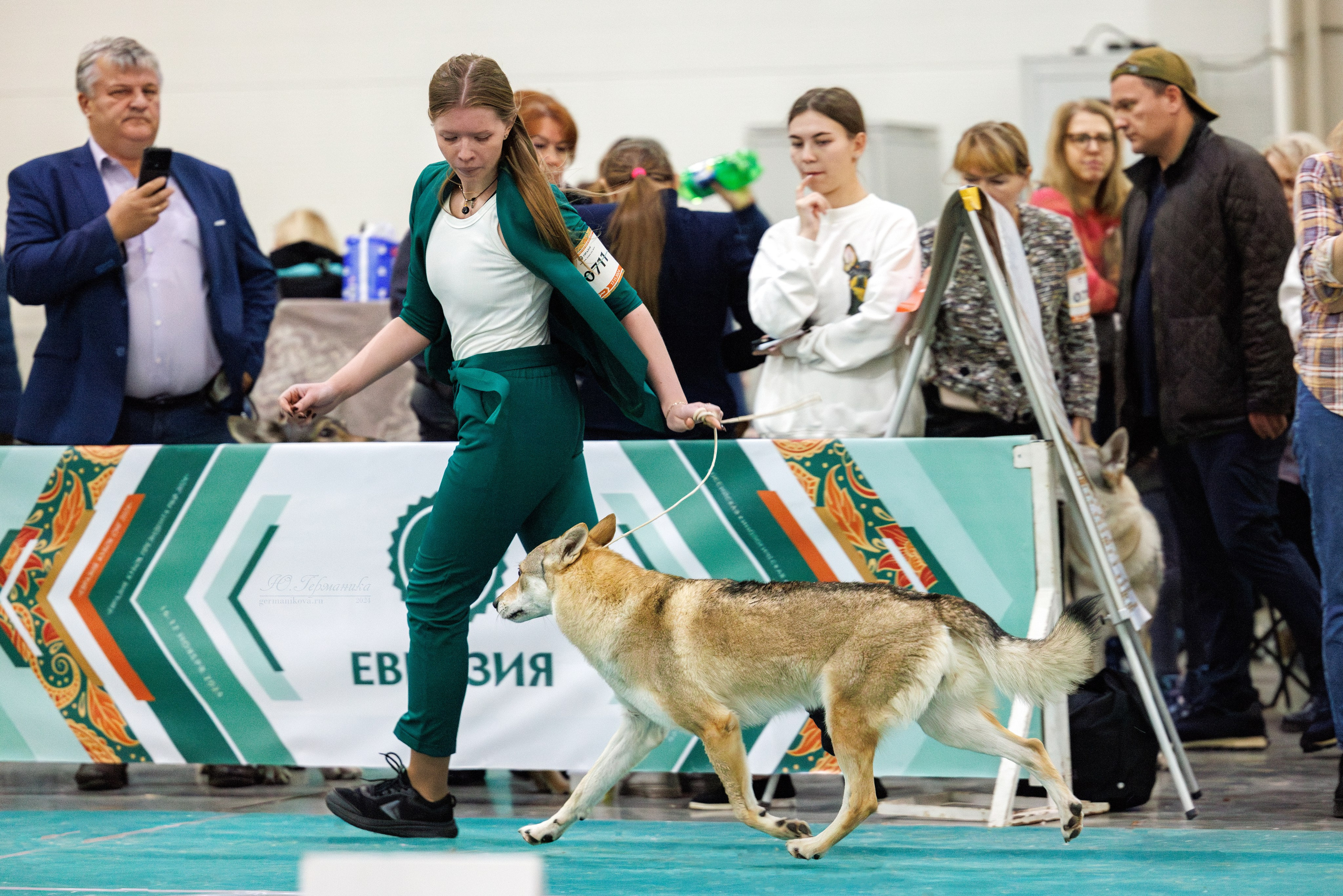 Евразия 16-17.11.2024. Фотограф-анималист Юлия Германика