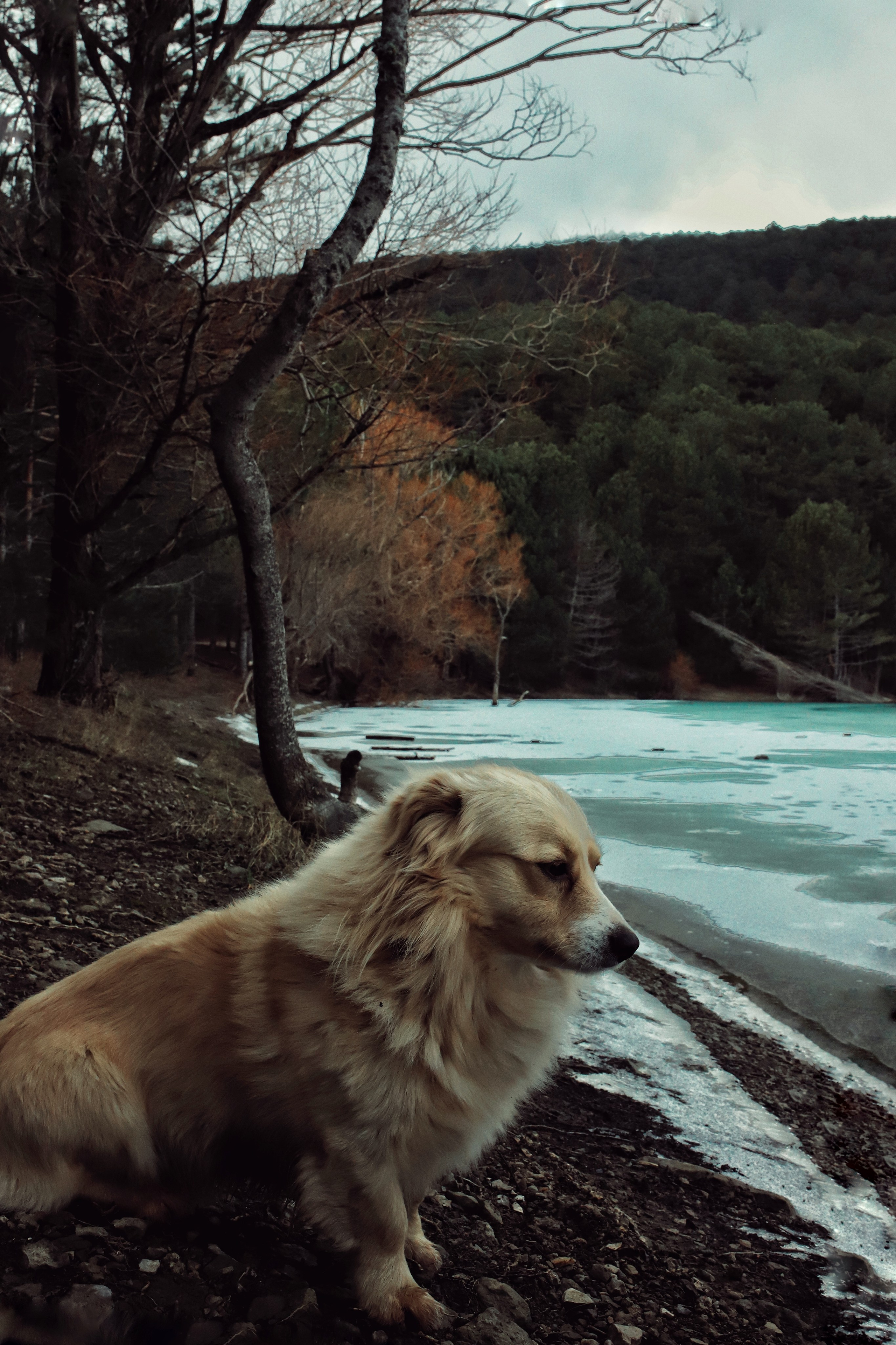 Бирюзовое озеро. Фотограф и видеограф в Санкт-Петербурге