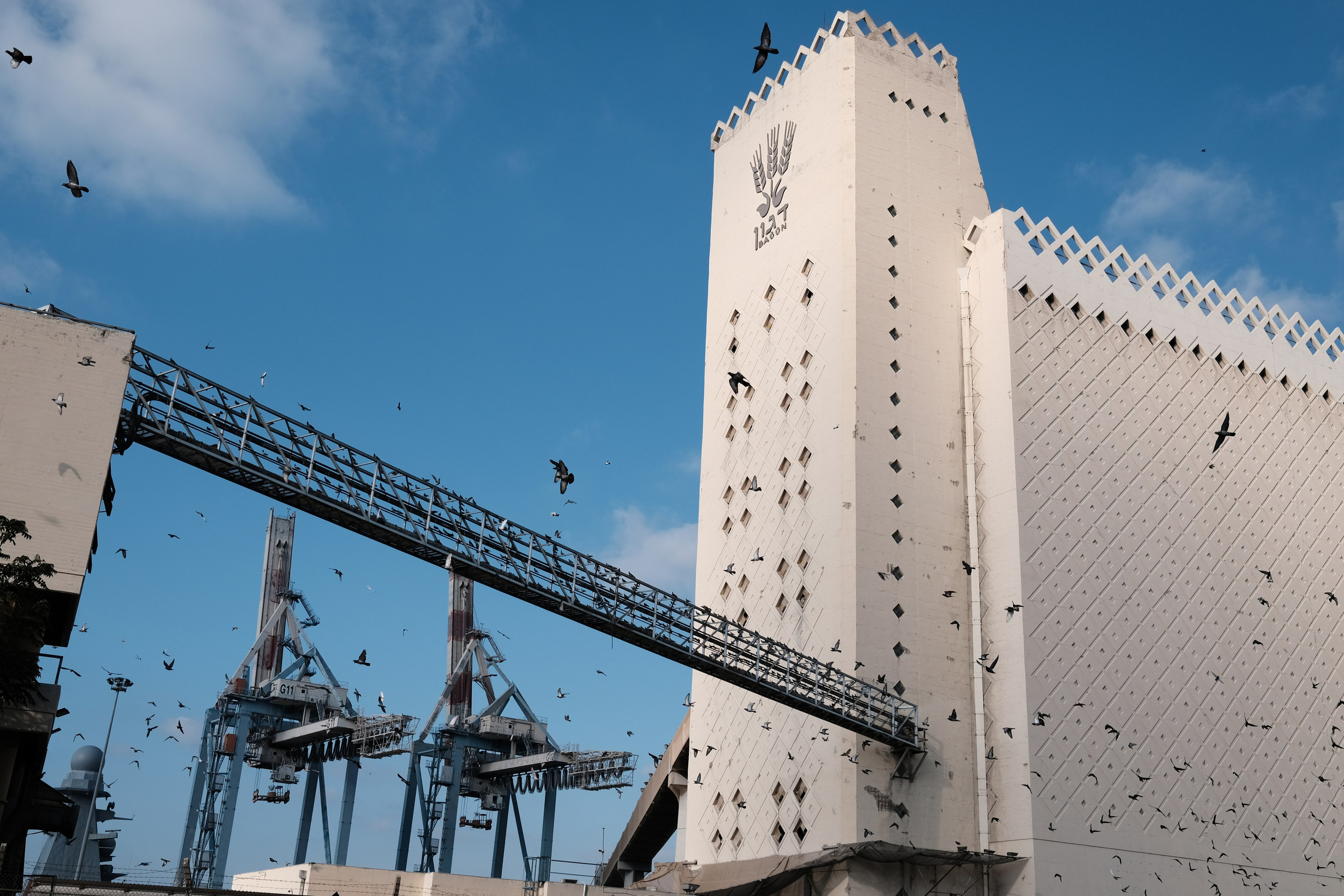 Фотографии Хайфы | Филипп Линзин. Репортажный и портретный фотограф в Санкт-Петербурге Филипп Линзин