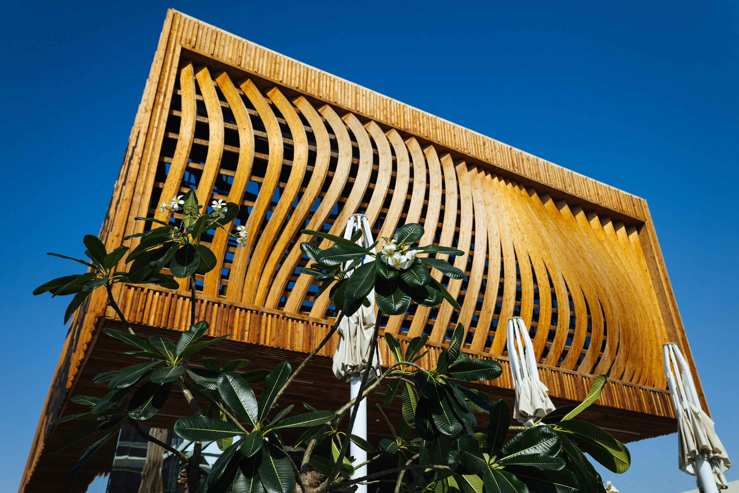 Дубай 2023. Руслан Плахтеев