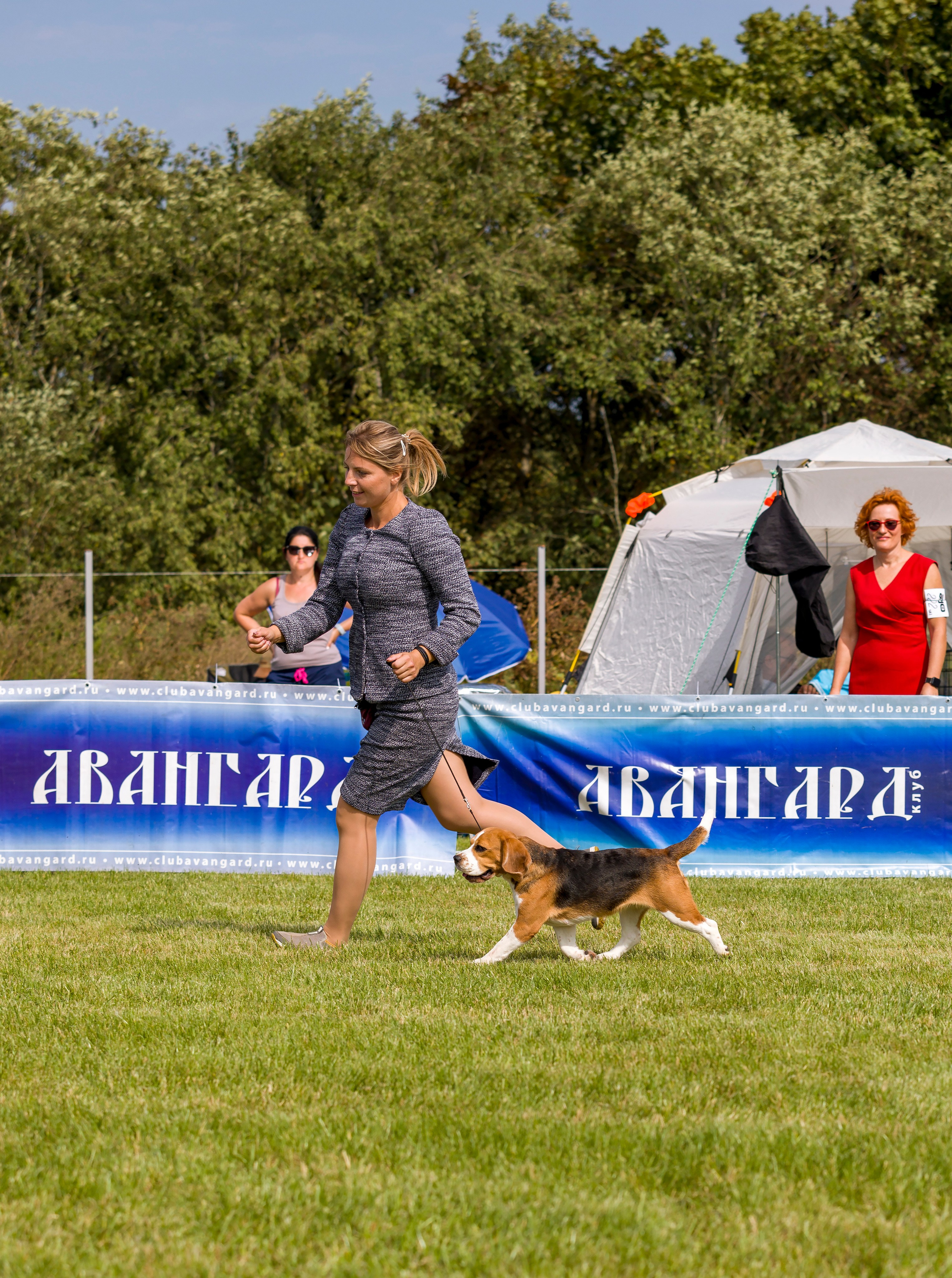 Выставки. Фотограф — анималист Татьяна Ли