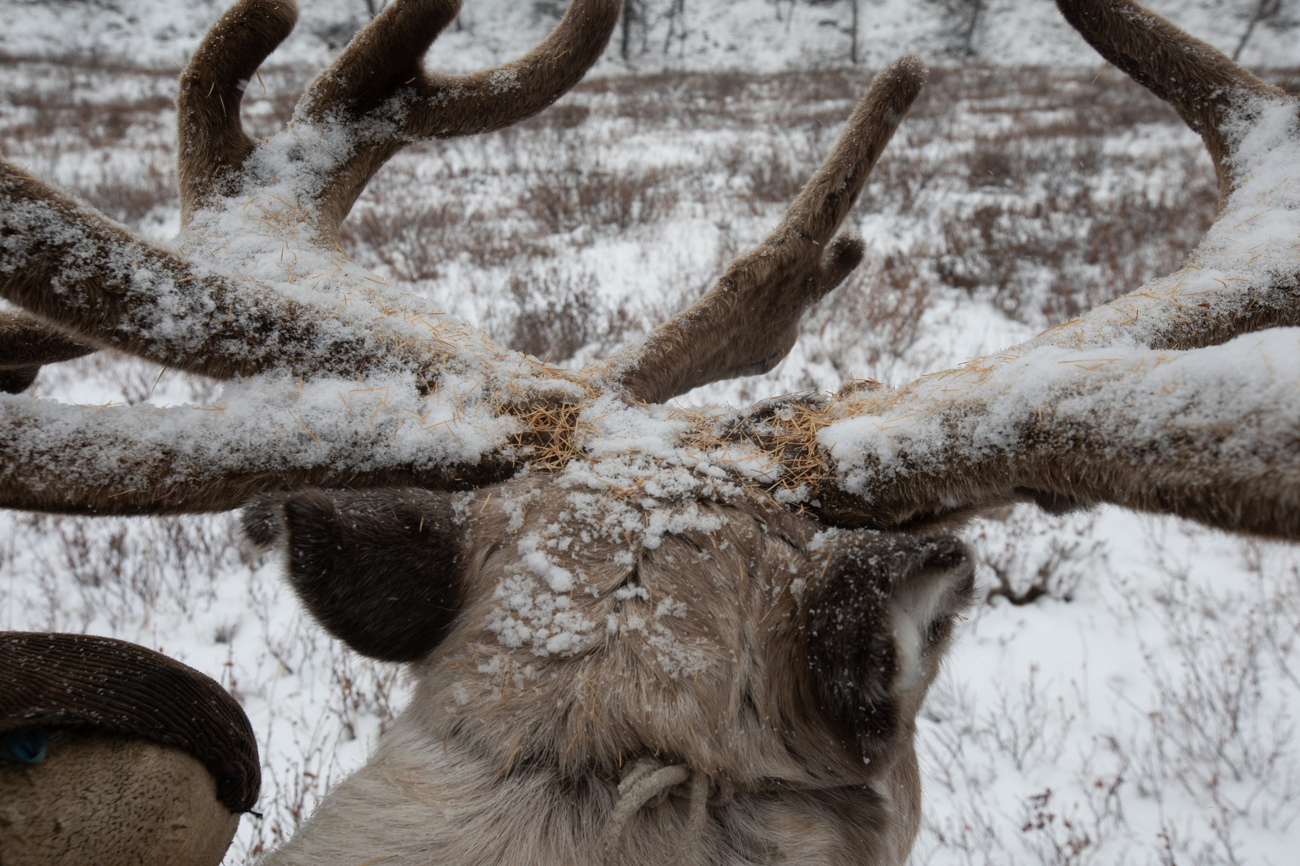 Не забудь накормить озеро. Natalya Madilyan