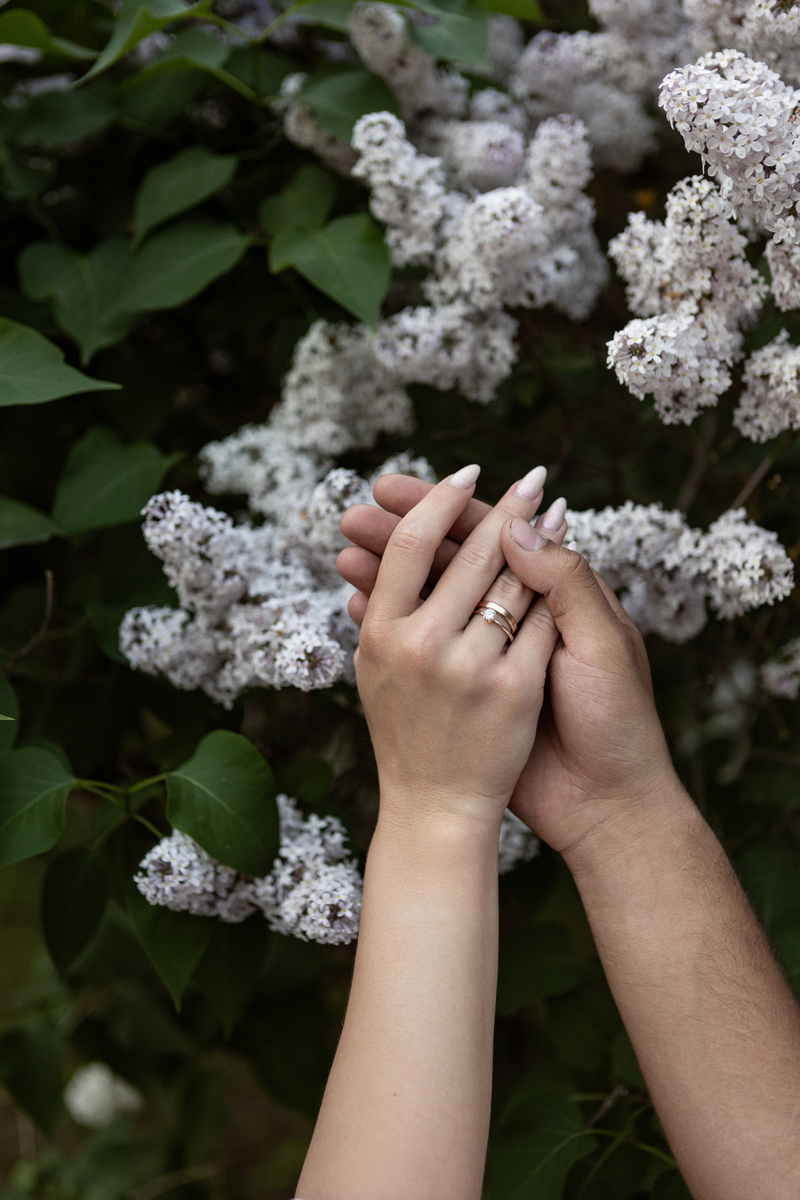 Алена & Денис. Свадебный фотограф в СПБ | Санкт-Петербурге Анастасия Рахимгулова