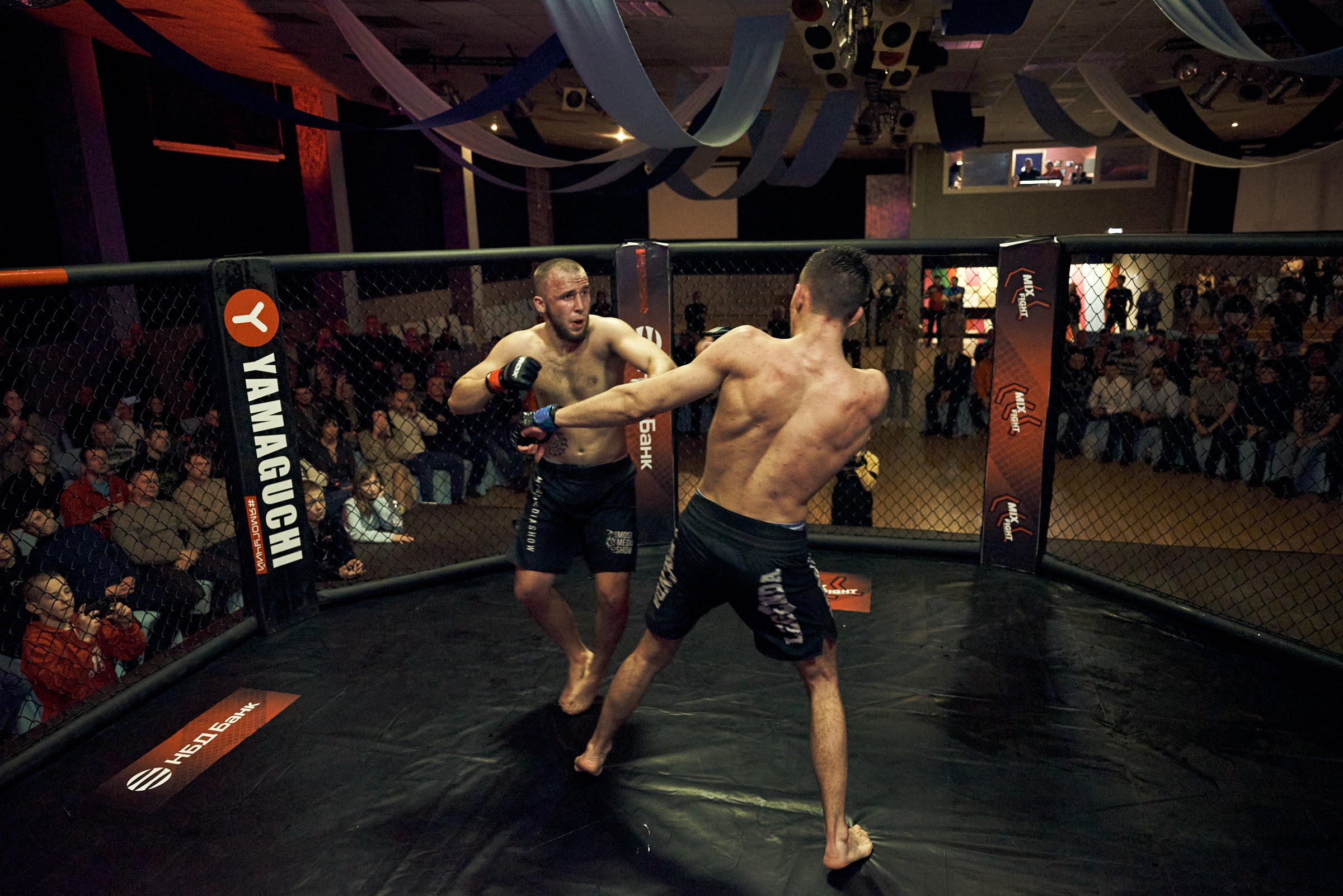 Бои. Маляревич Дмитрий свадебный фотограф