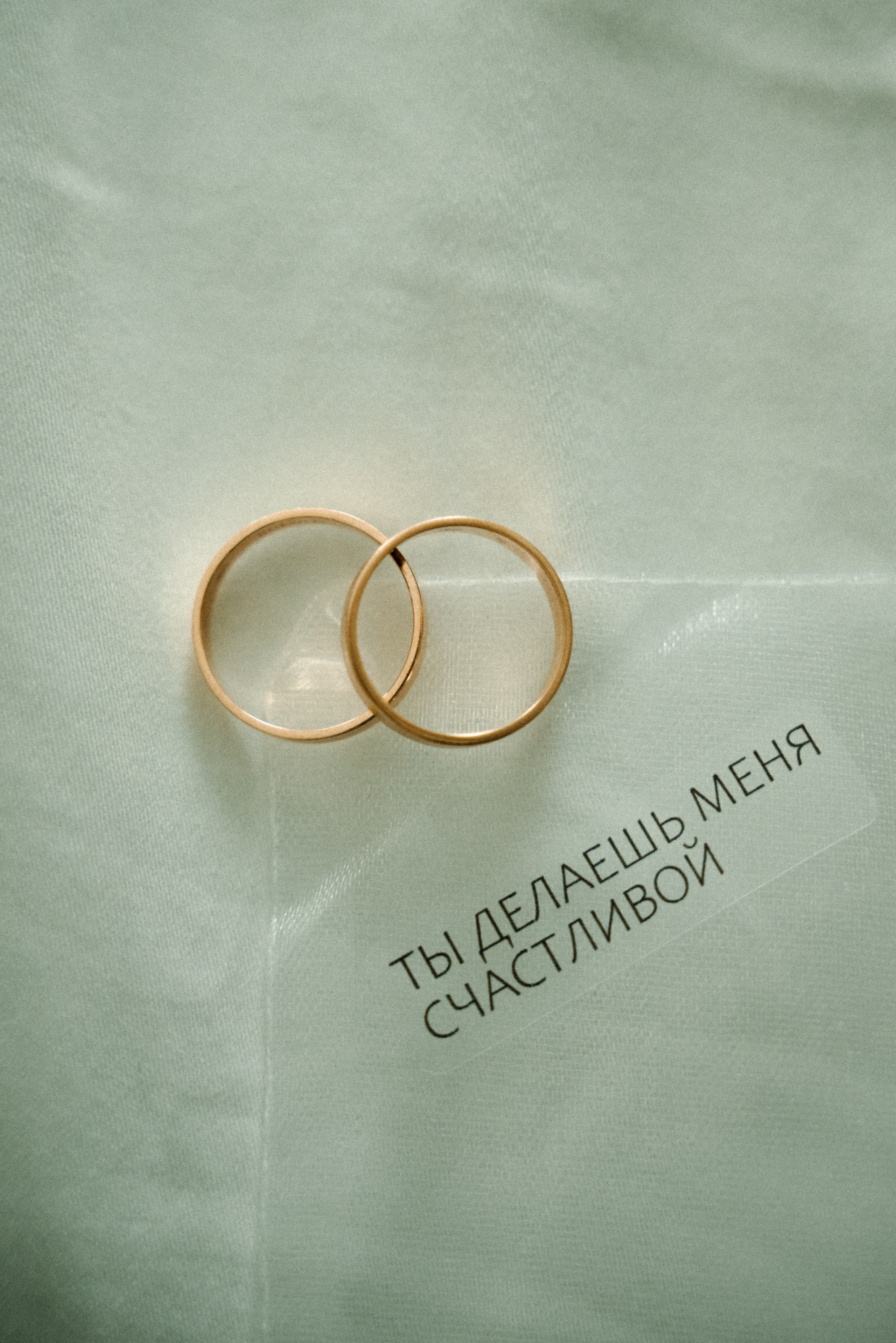 Александр и Алена. Ваш свадебный и семейный фотограф