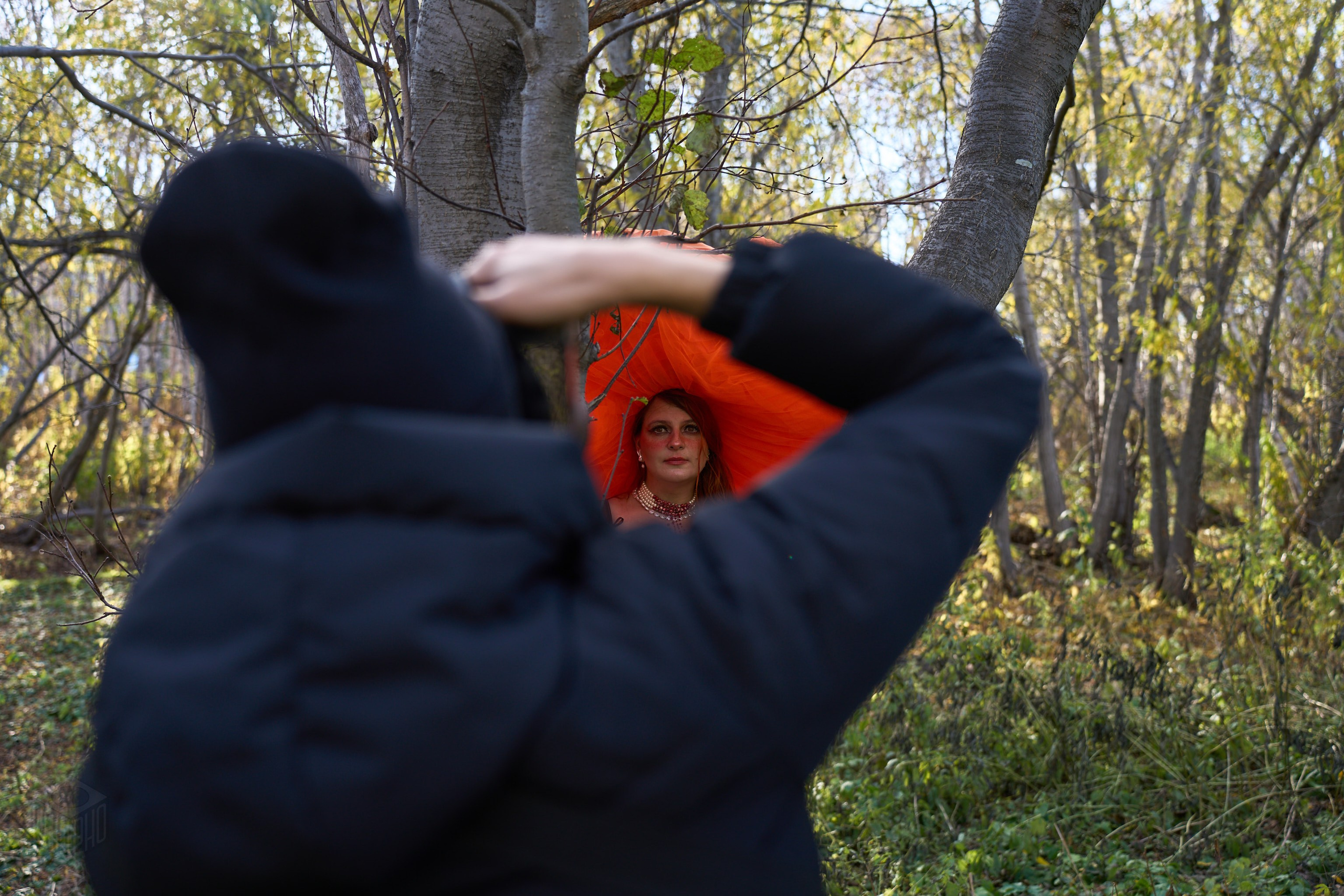 Грибы 18.10.2026. Ranpho