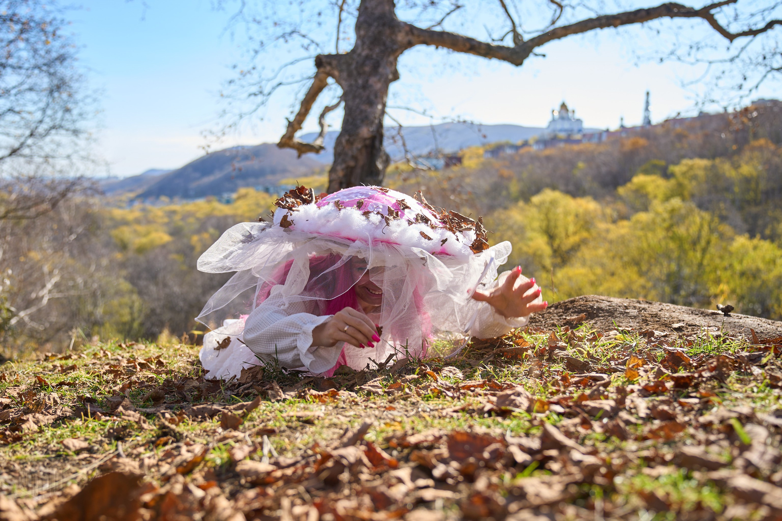 Грибы 18.10.2026. Ranpho