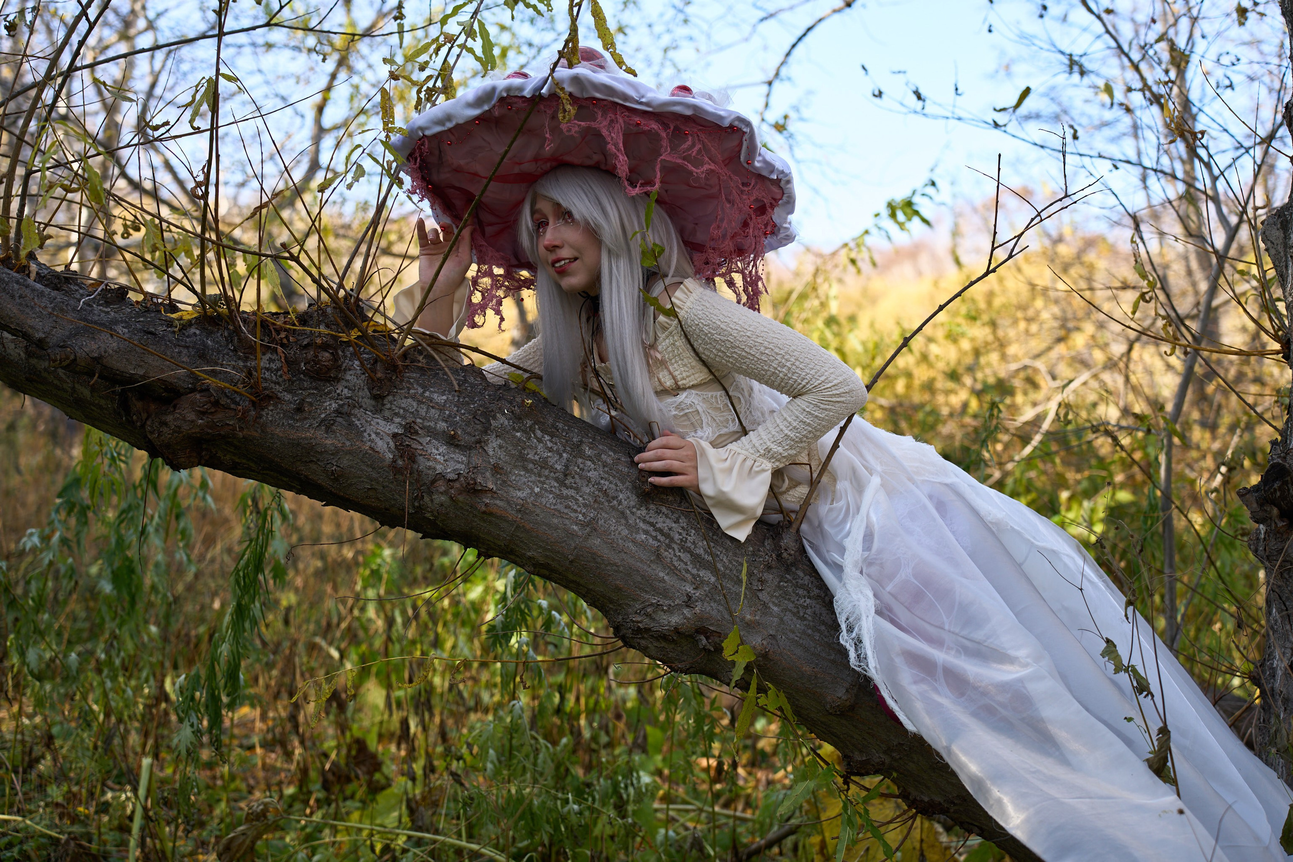Грибы 18.10.2026. Ranpho