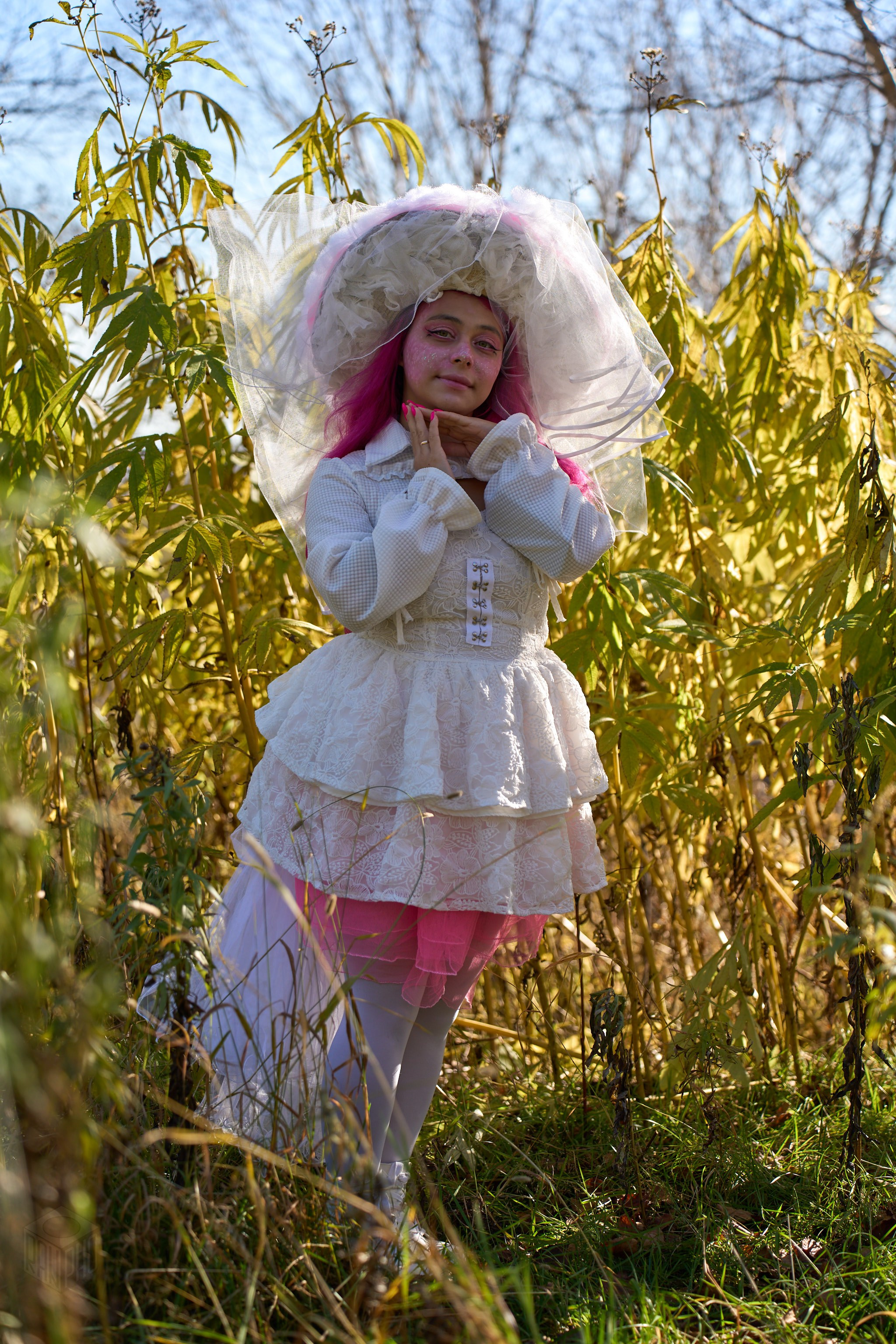 Грибы 18.10.2026. Ranpho