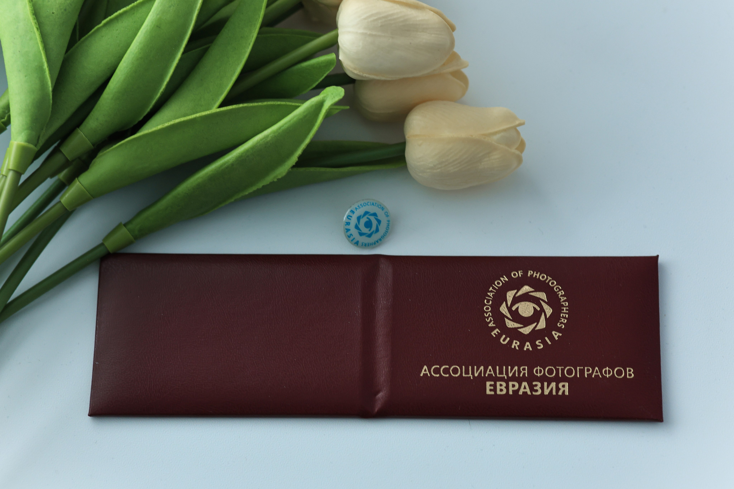 Член Ассоциации фотографов ЕВРАЗИЯ. Детский, семейный фотограф в Ижевске и Москве Аксинья Лысенкова ADEN