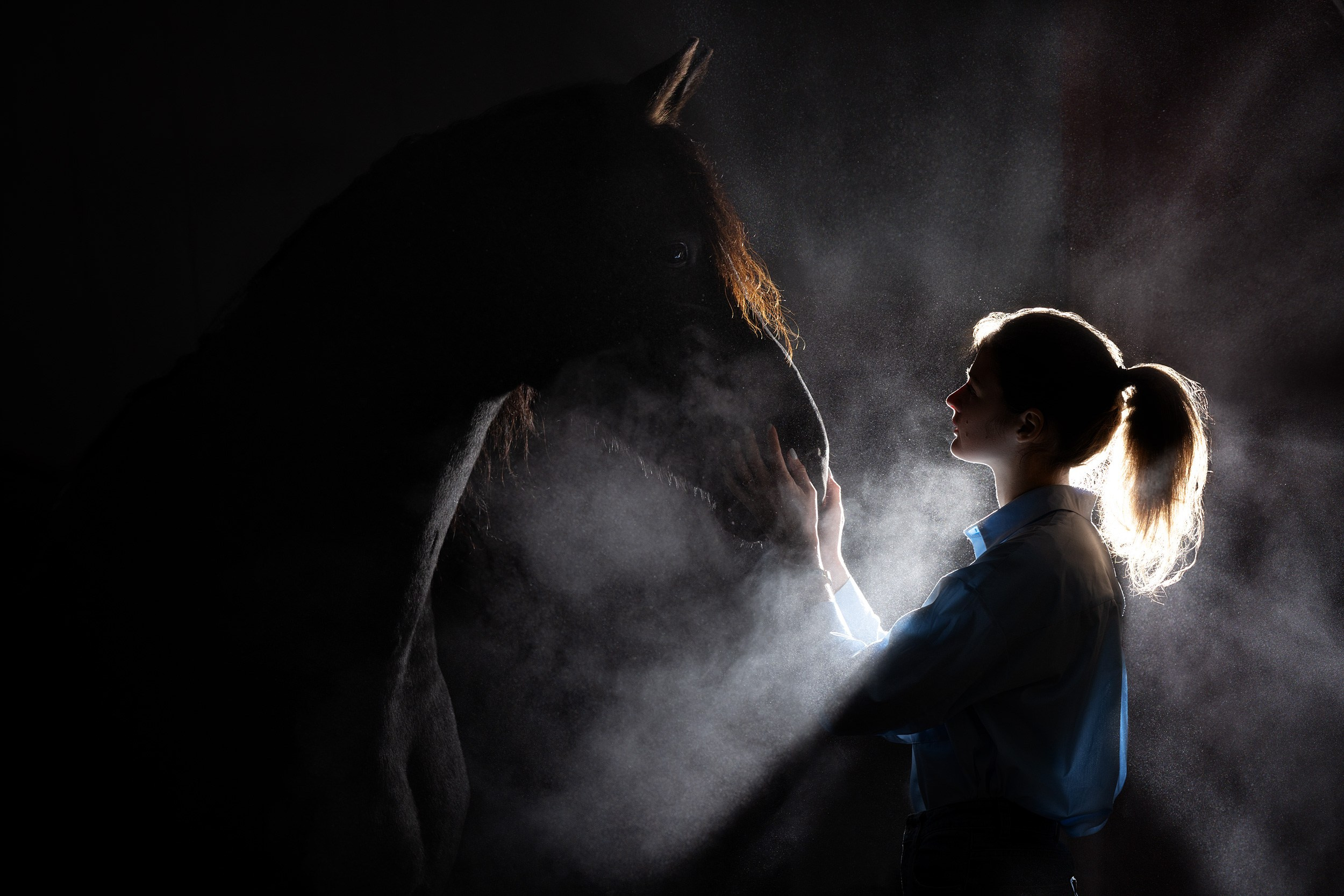 Лошади. Фотограф Анастасия Ветковская, Москва