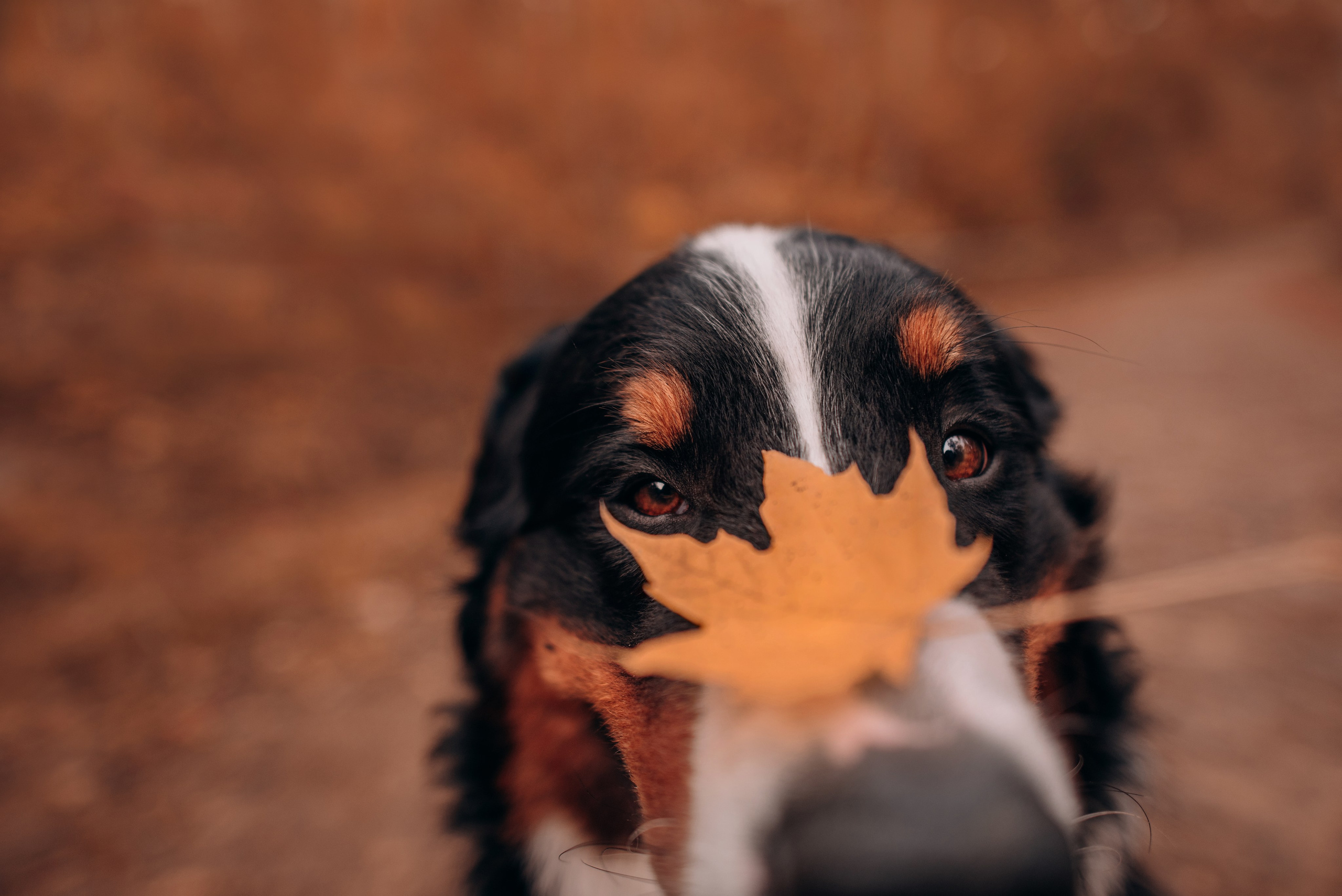 Владивосток: Марс и Маша. Портфолио