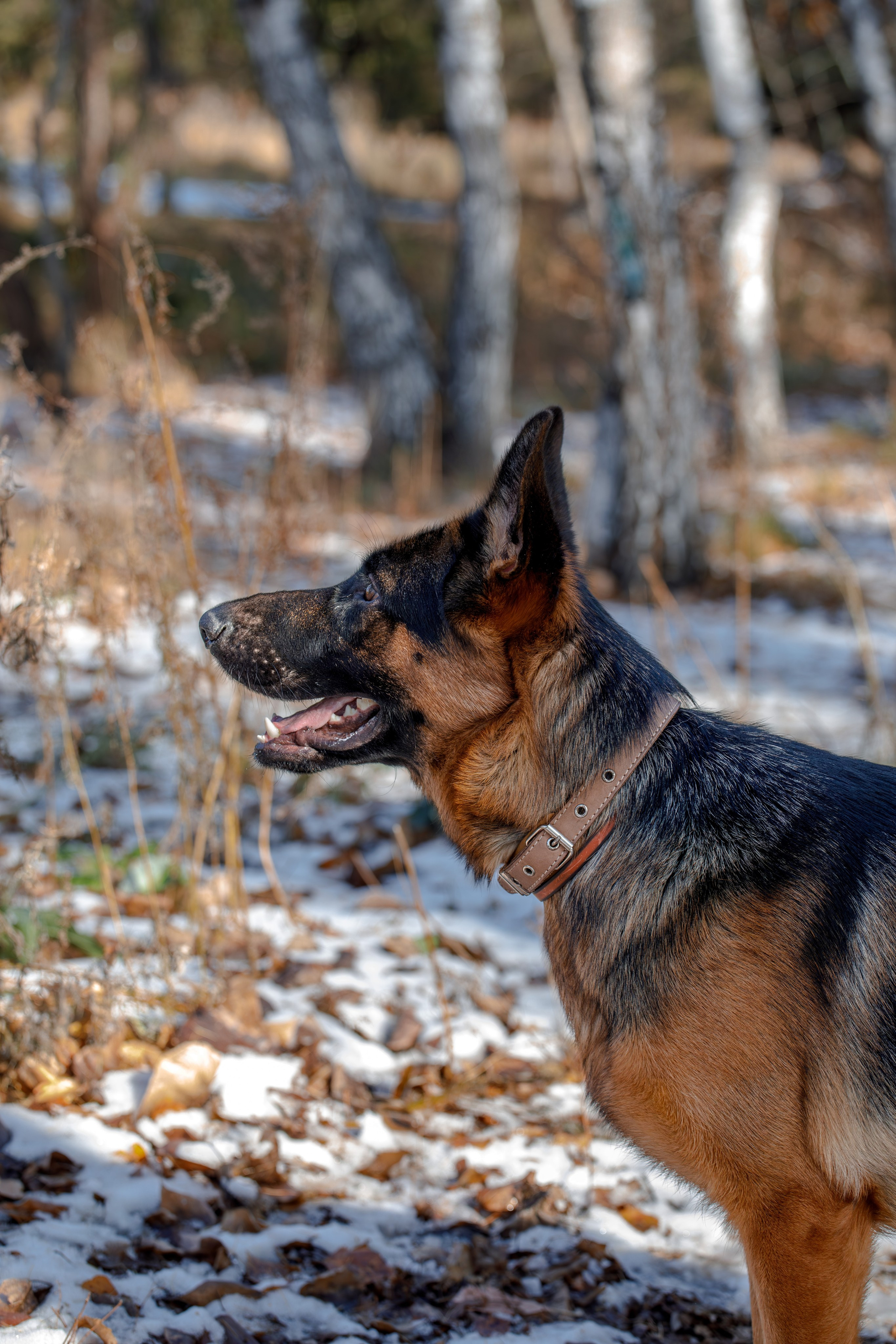 Ди и Джема. Фотограф Екатерина Козловская
