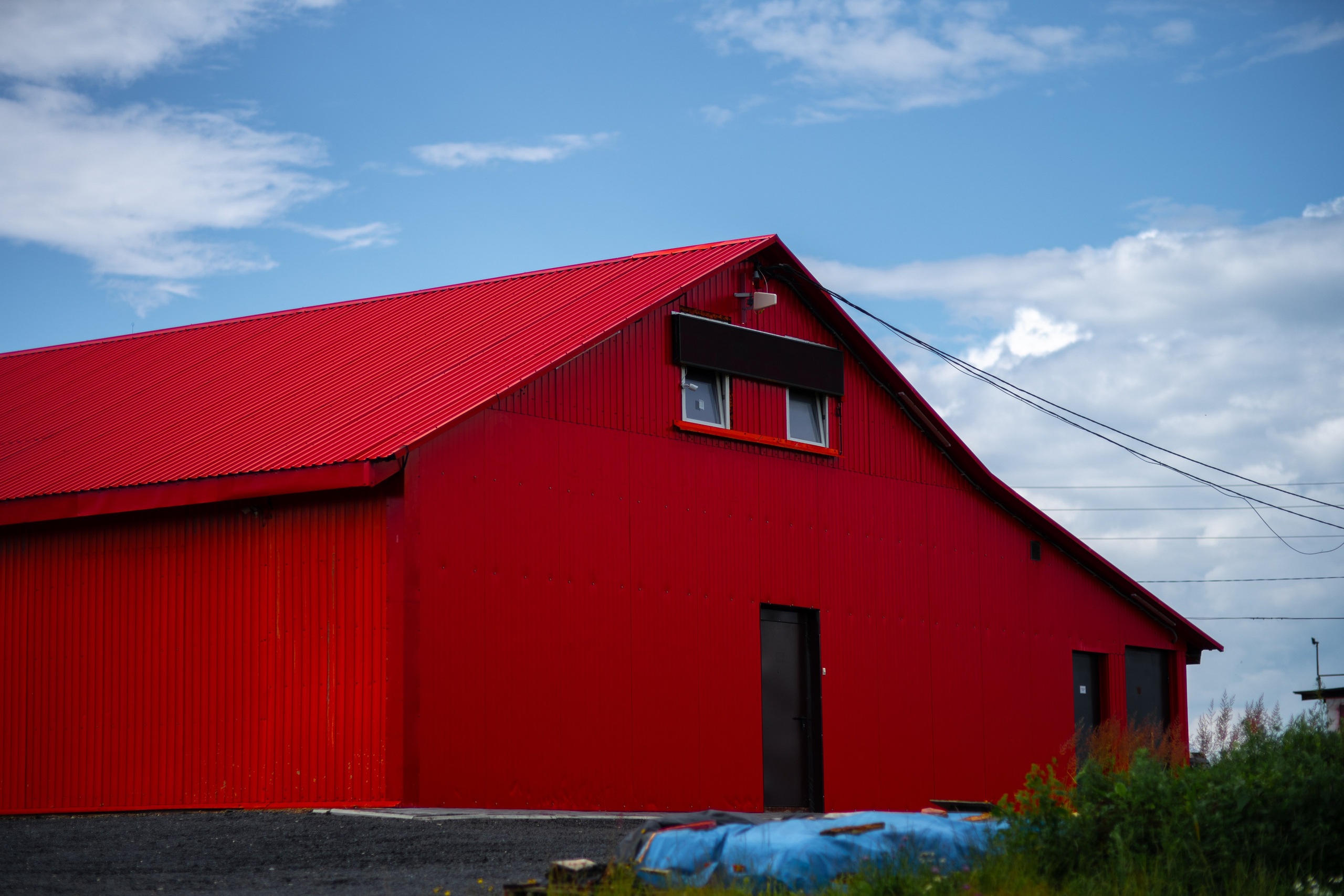 ЦВЕТНЫЕ ФОТОГРАФИИ. Никита Аничкин фото и видео оператор из России