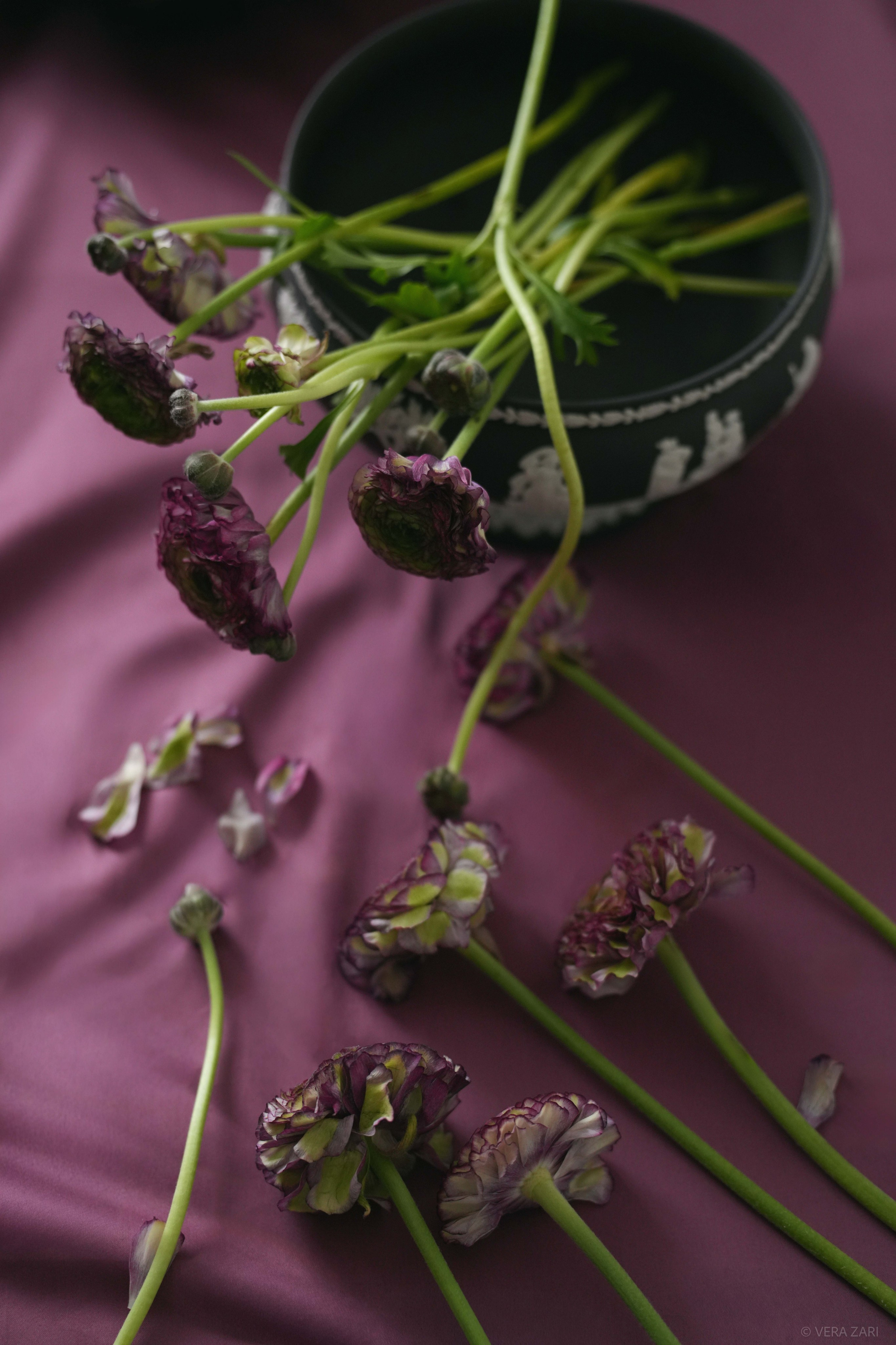 Творческие съемки. Фотограф в Санкт-Петербурге (портрет, индивидуальные, творческие съемки, каталог)