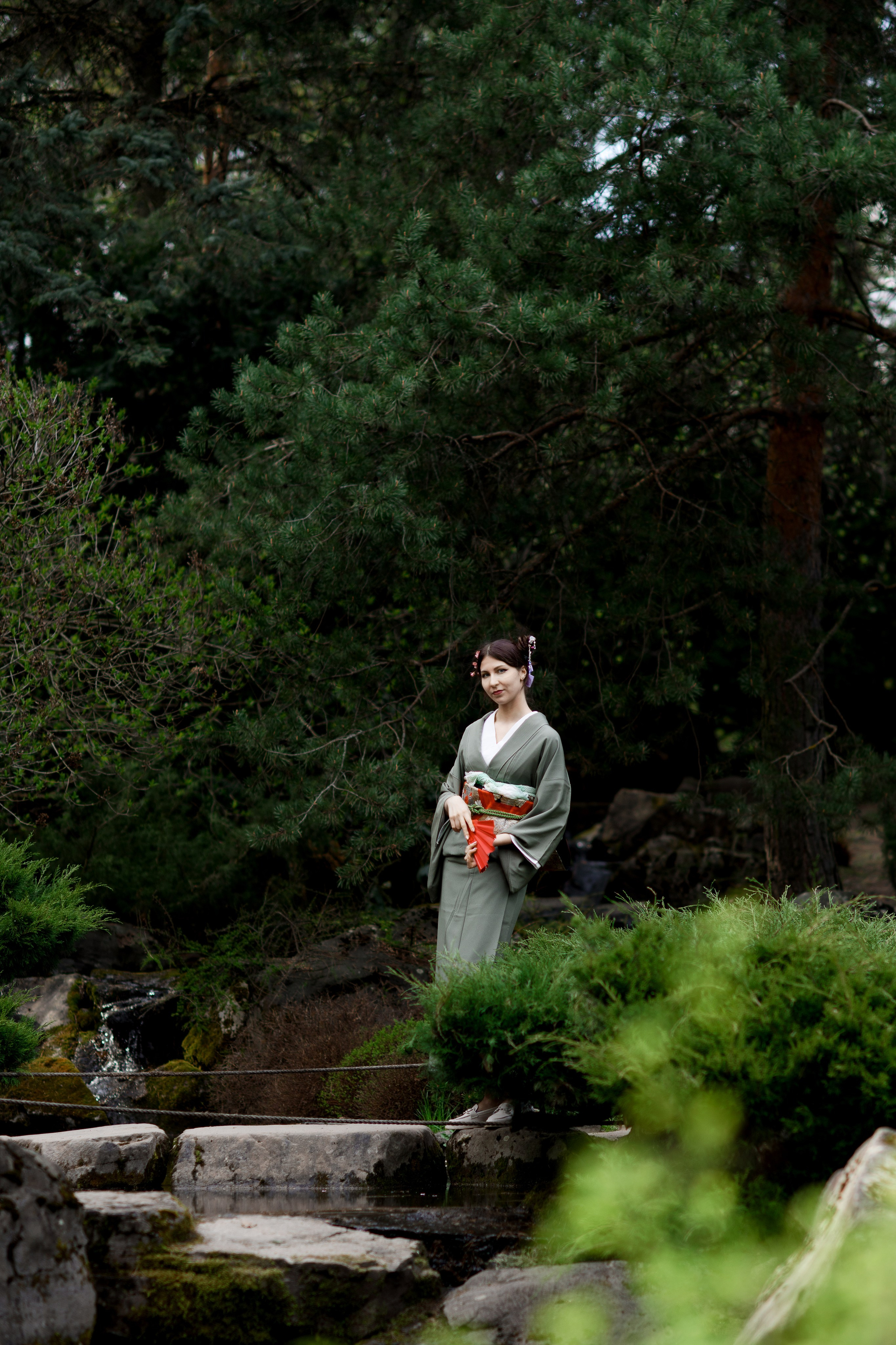 Любование цветением сакуры в Японском саду. Главная