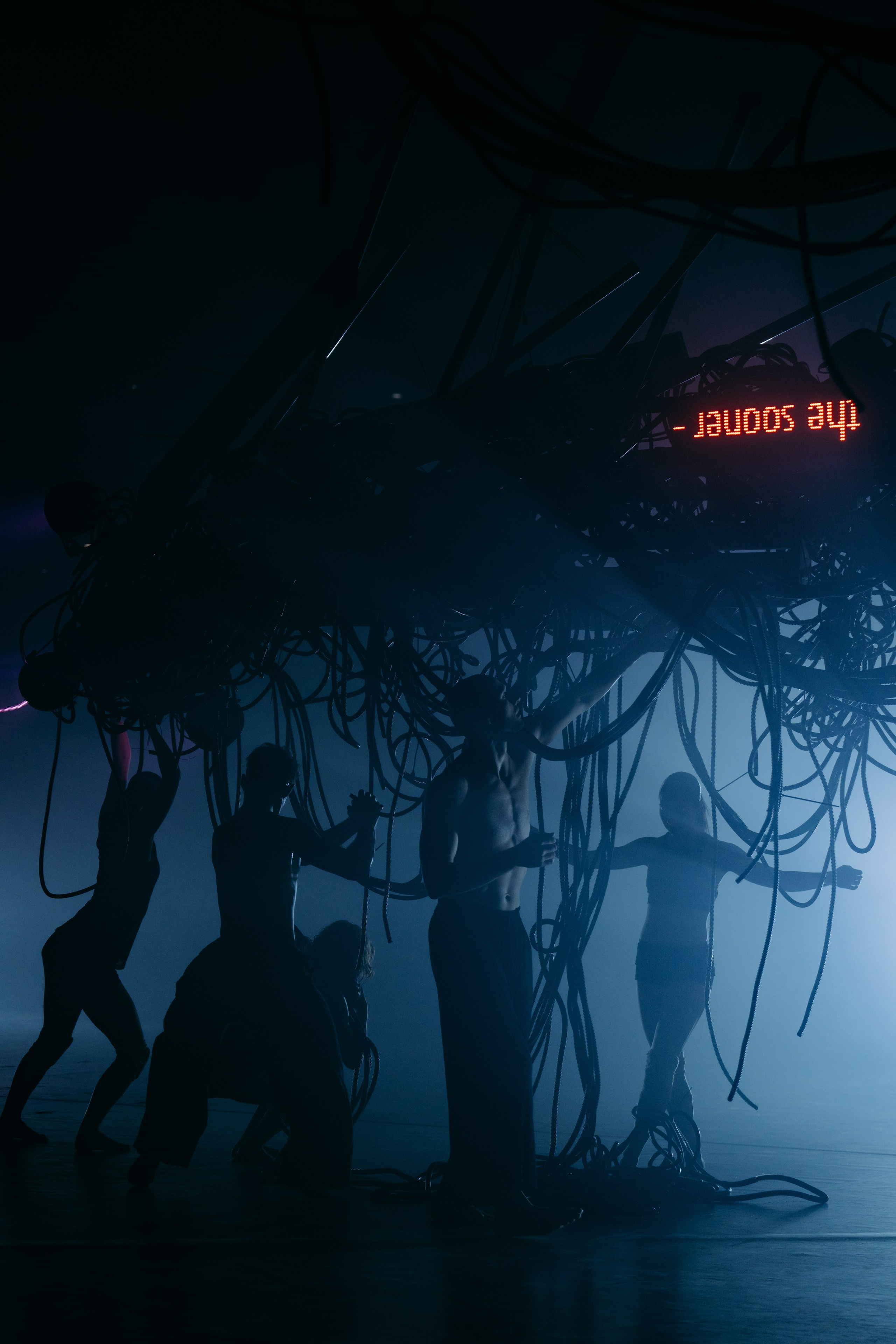 PERFORMA, The Hour of the Horse. @tomrus: Рустам Шагиморданов — фотограф