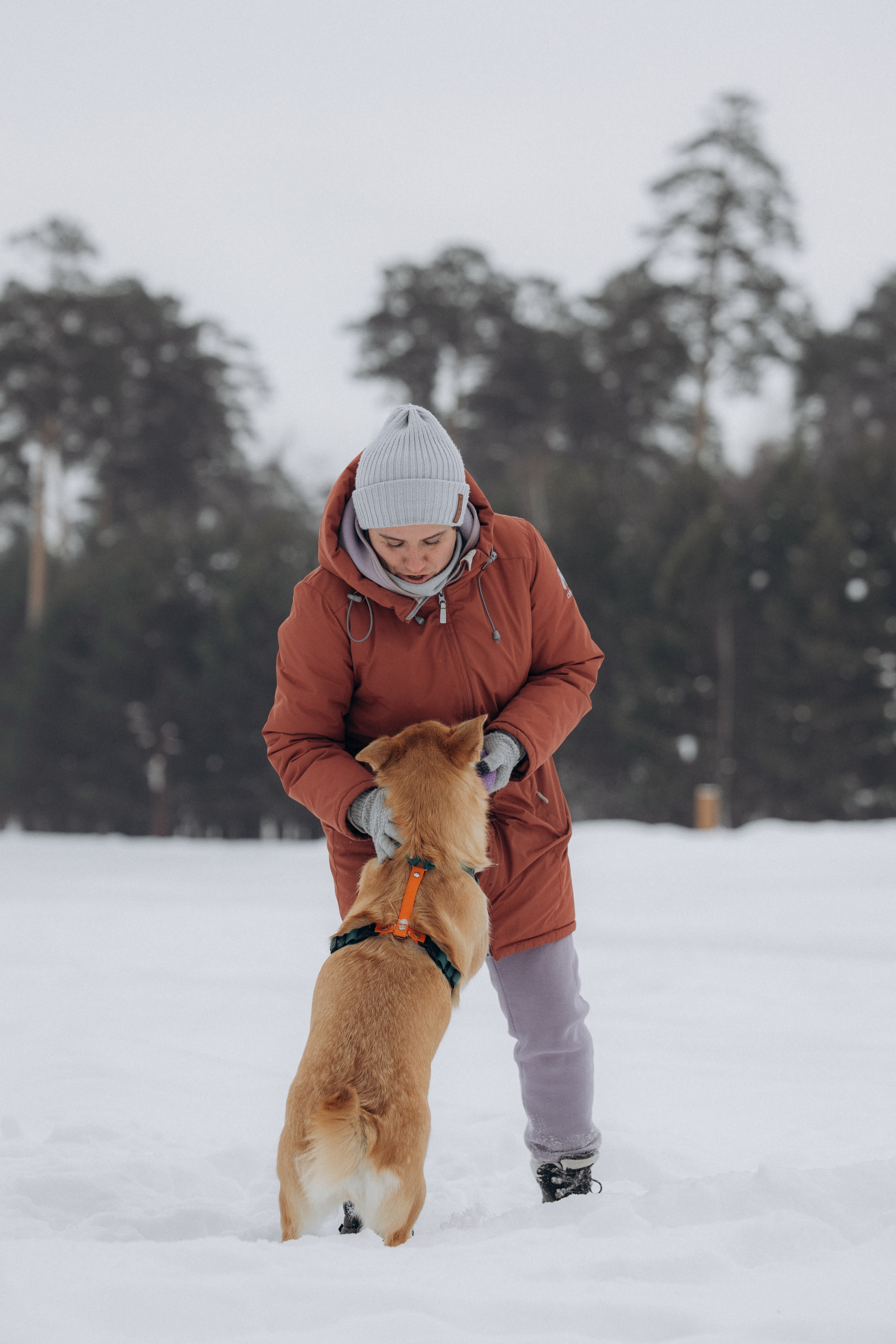 Прогулка на озере зимой. Фотограф анималист в Казани Алина Сулейманова. Фотограф животных