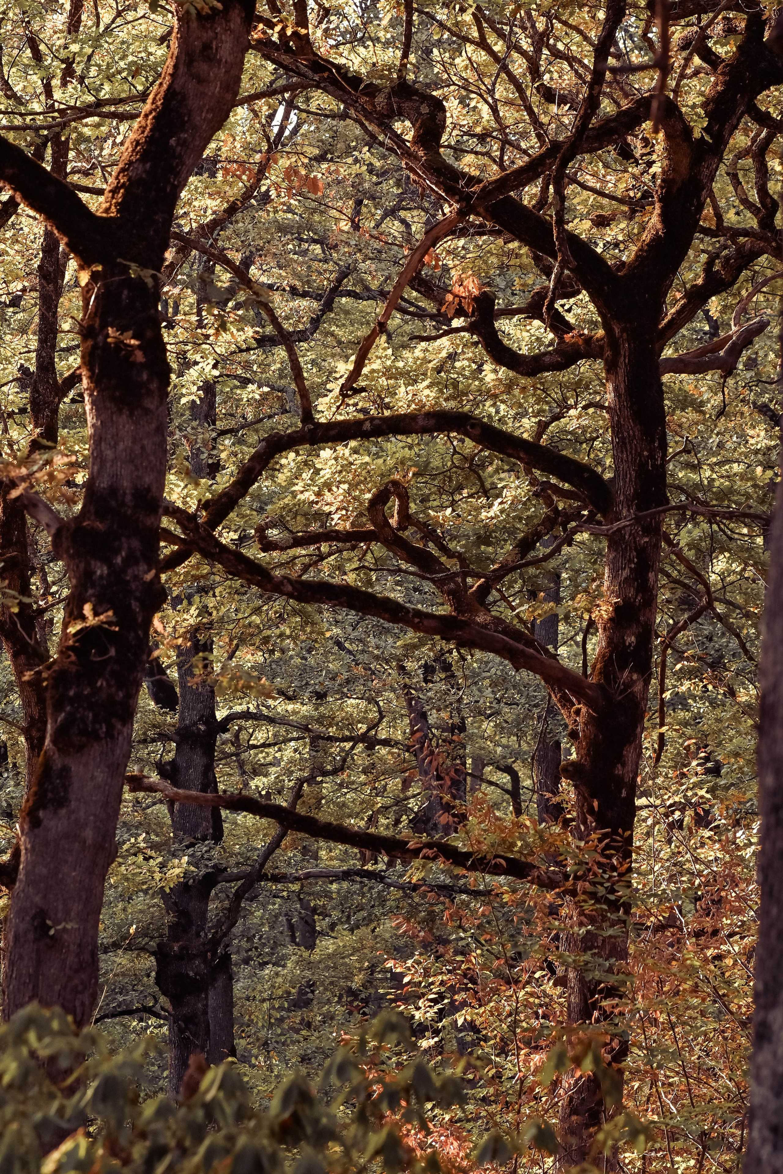 Веселые девчата. Предметный фотограф в Горячем Ключе Вера Швец