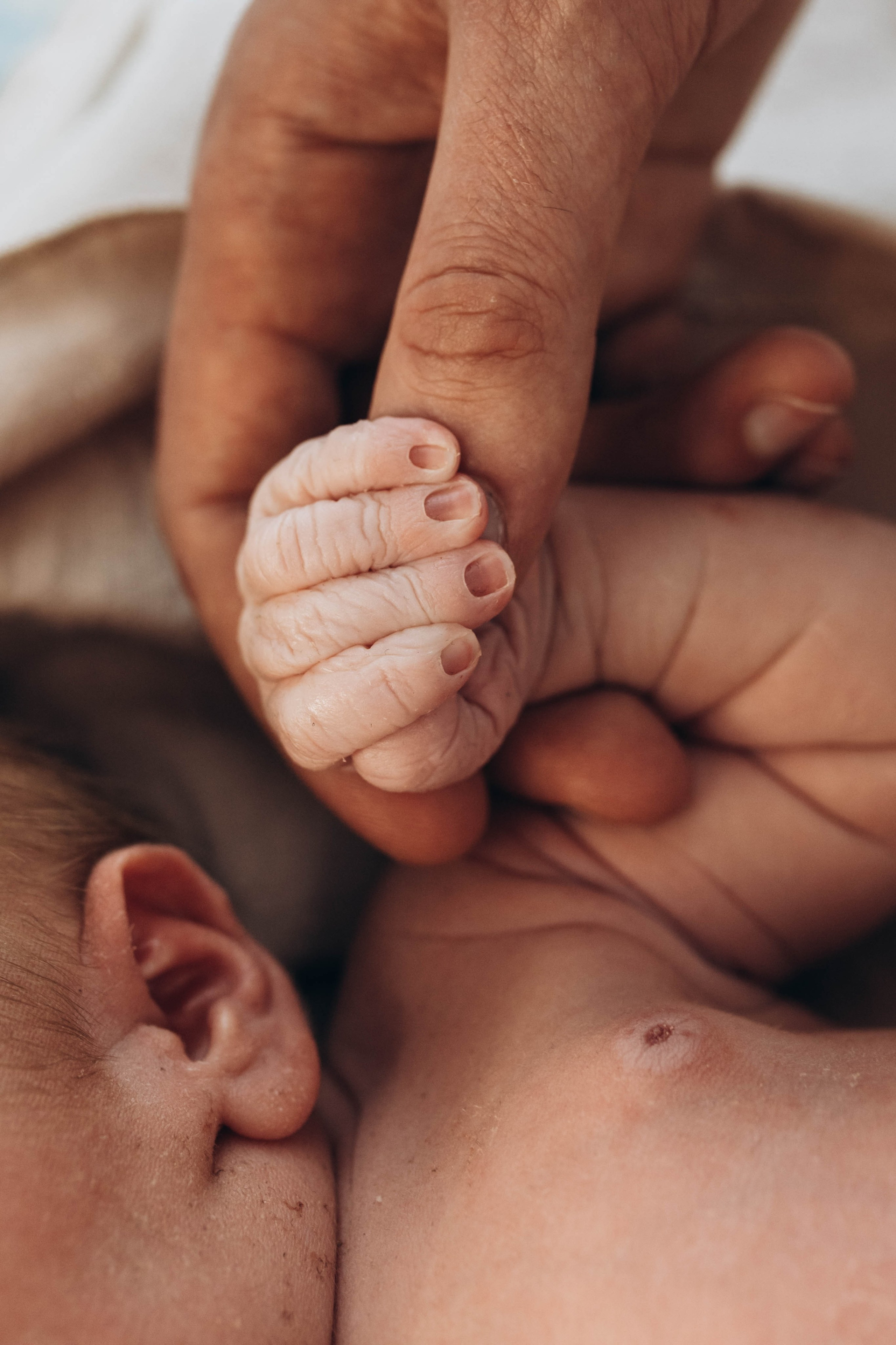 Съёмка родов. Анастасия Воропаева — фотограф на роды СПб