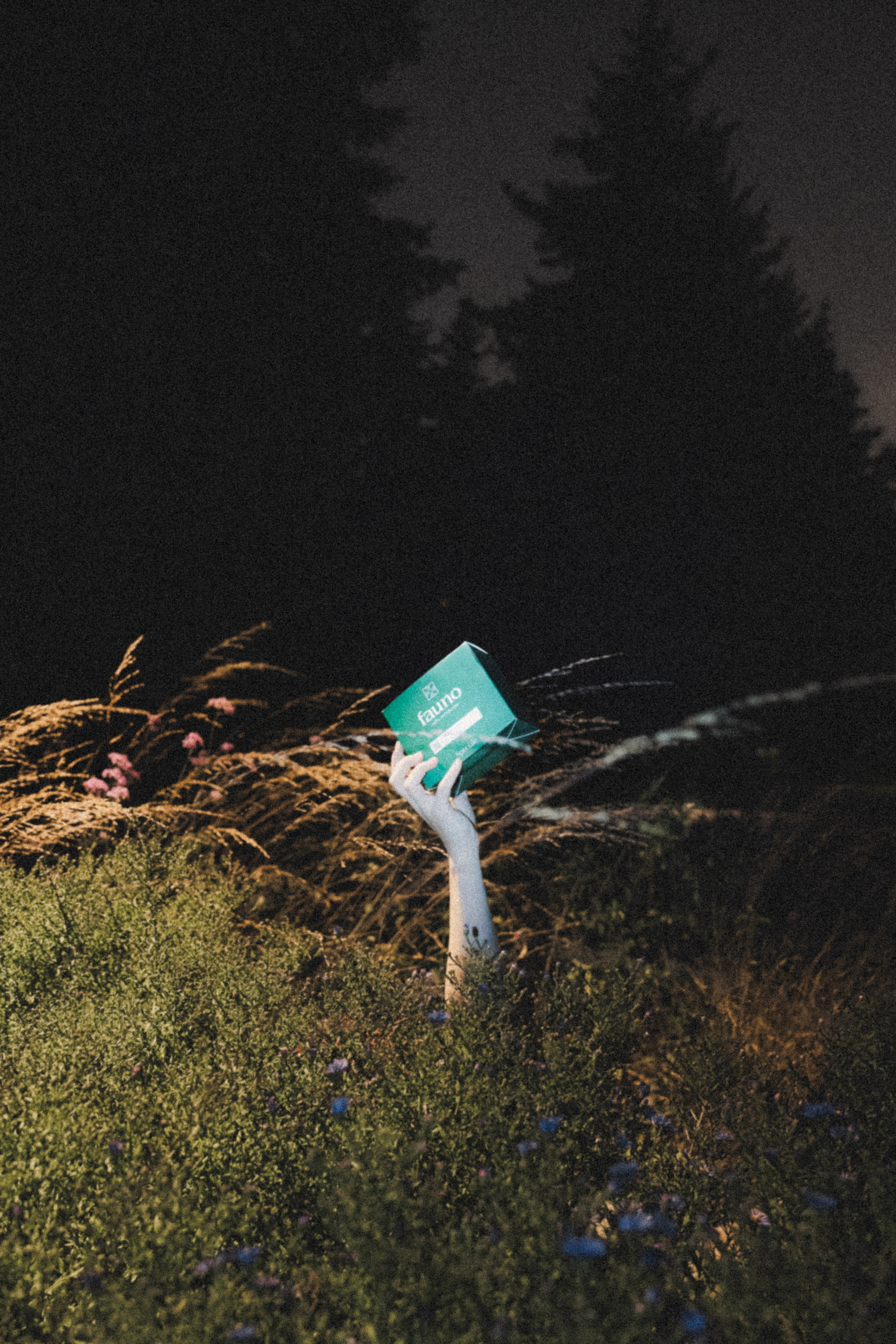 Fauno. Фотограф Илья К. в Москве