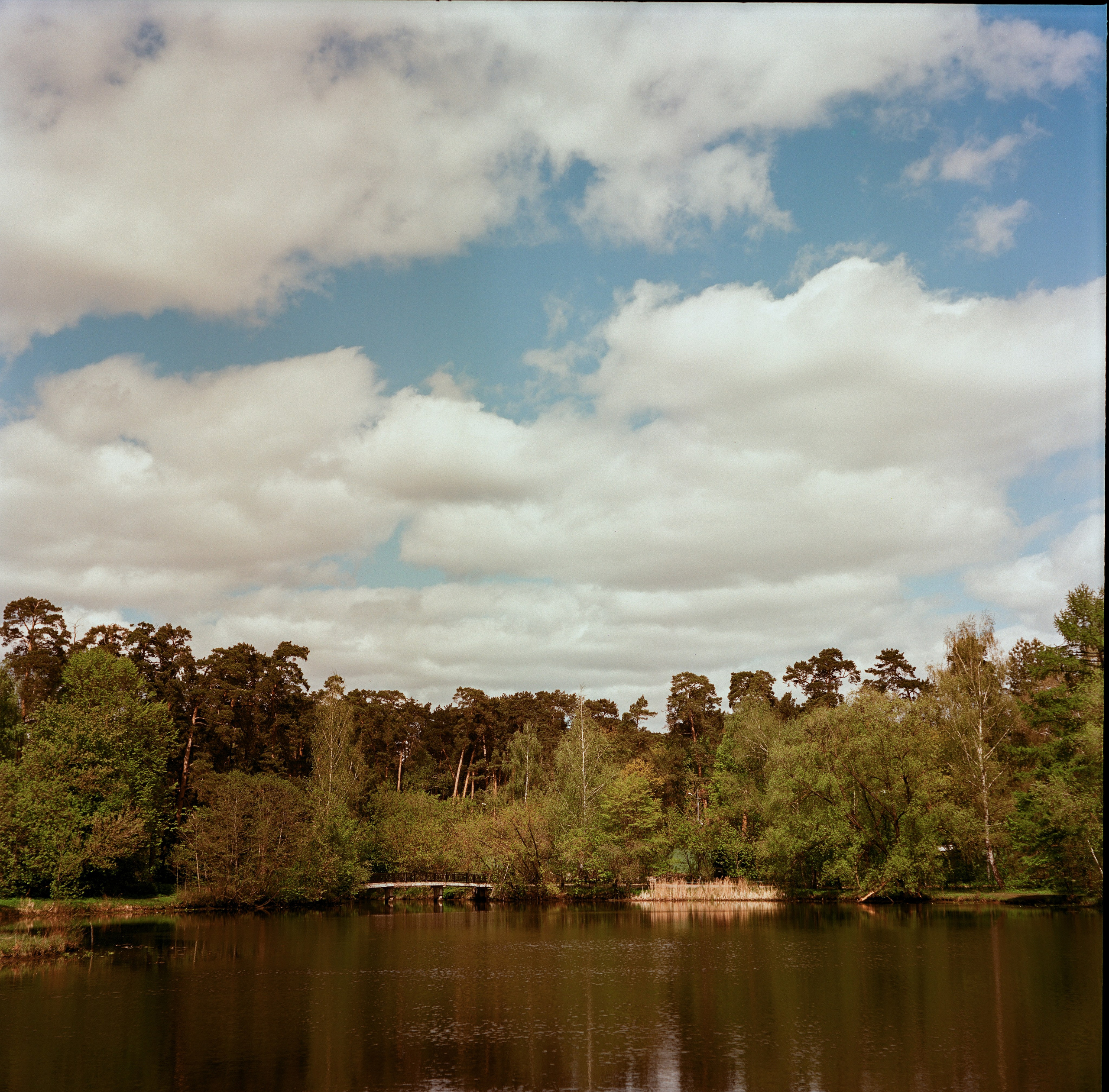 Minolta Autocord | Aeronega ISO 100 (Aerocolor IV) | май 2025 года СерБор