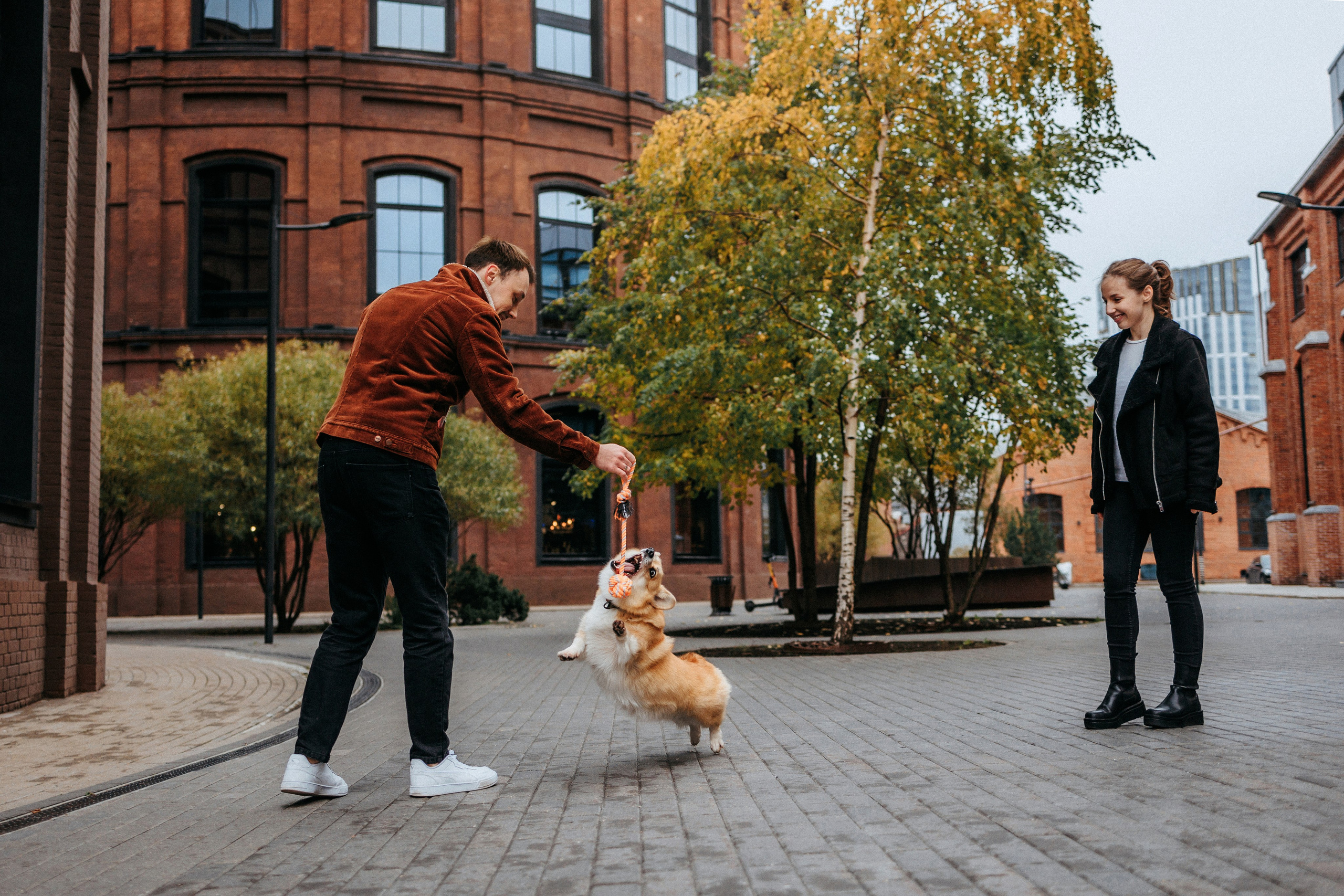 Вера, Саша и Муна. Фотограф-анималист Елена Радченко, Москва