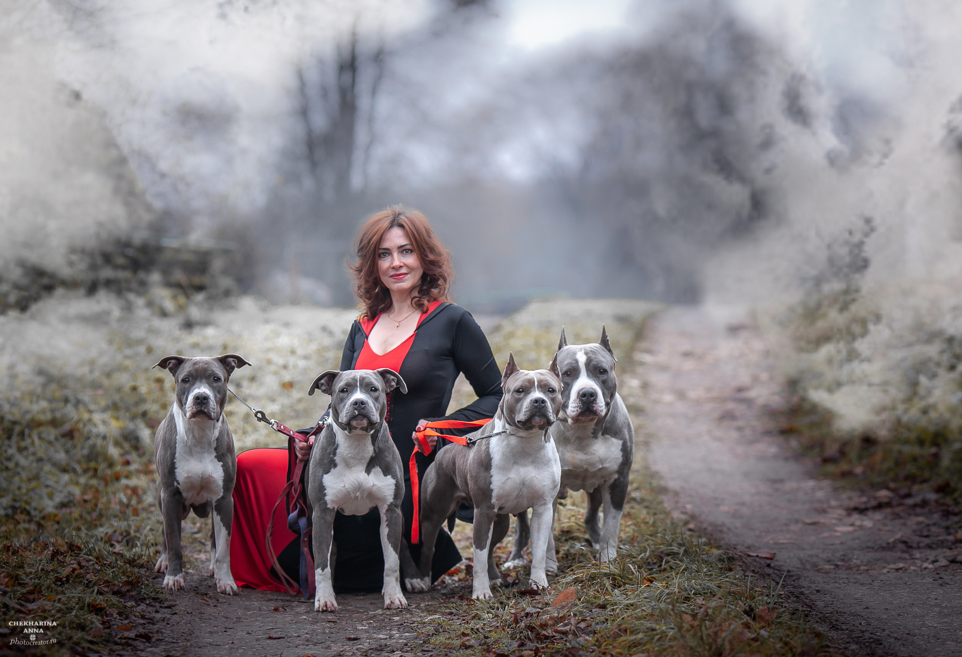 Анималистика. Профессиональный фотограф Чехарина Анна / pro photographer Chekharina